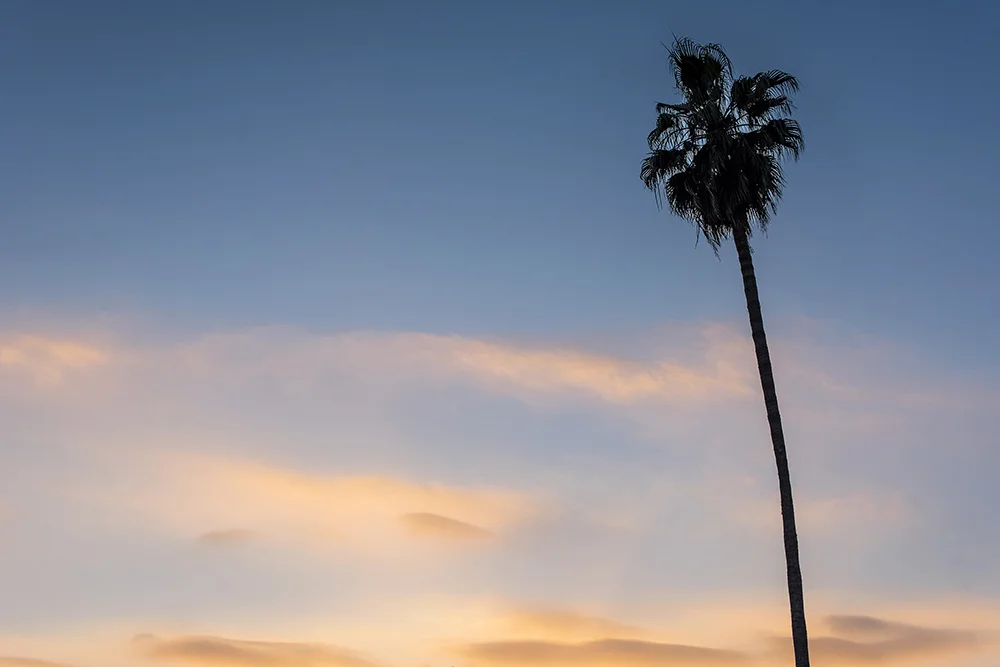 Brittney C_Sunset_DSC6872.jpg