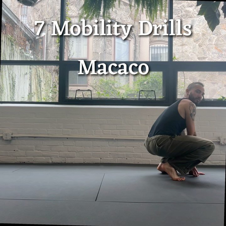 &bull;7 Mobility Drills for Macaco&bull;

Want to learn the macaco but don&rsquo;t know where to start? These mobility drills are a great way to begin the journey. Each one progresses from the former challenging posture, shoulder strength, joint arti