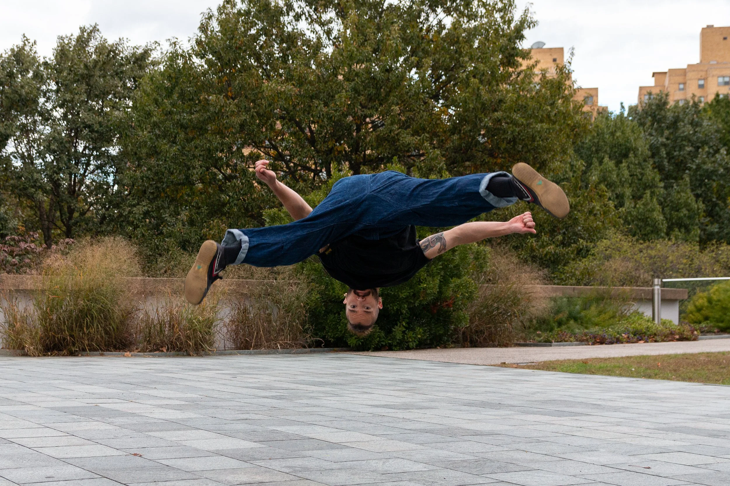 Aerial Alex.jpg