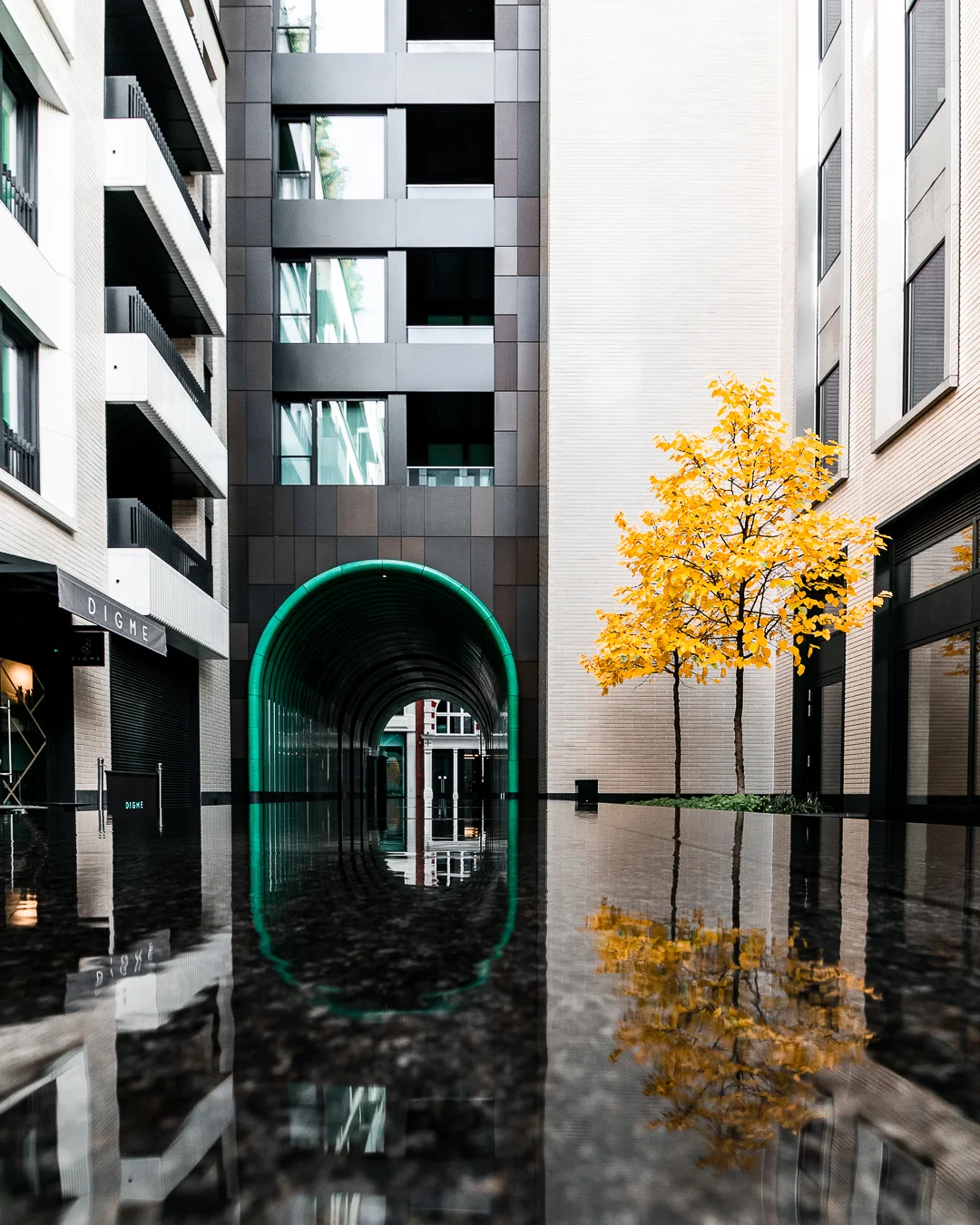 Image Sample 2-1.jpg