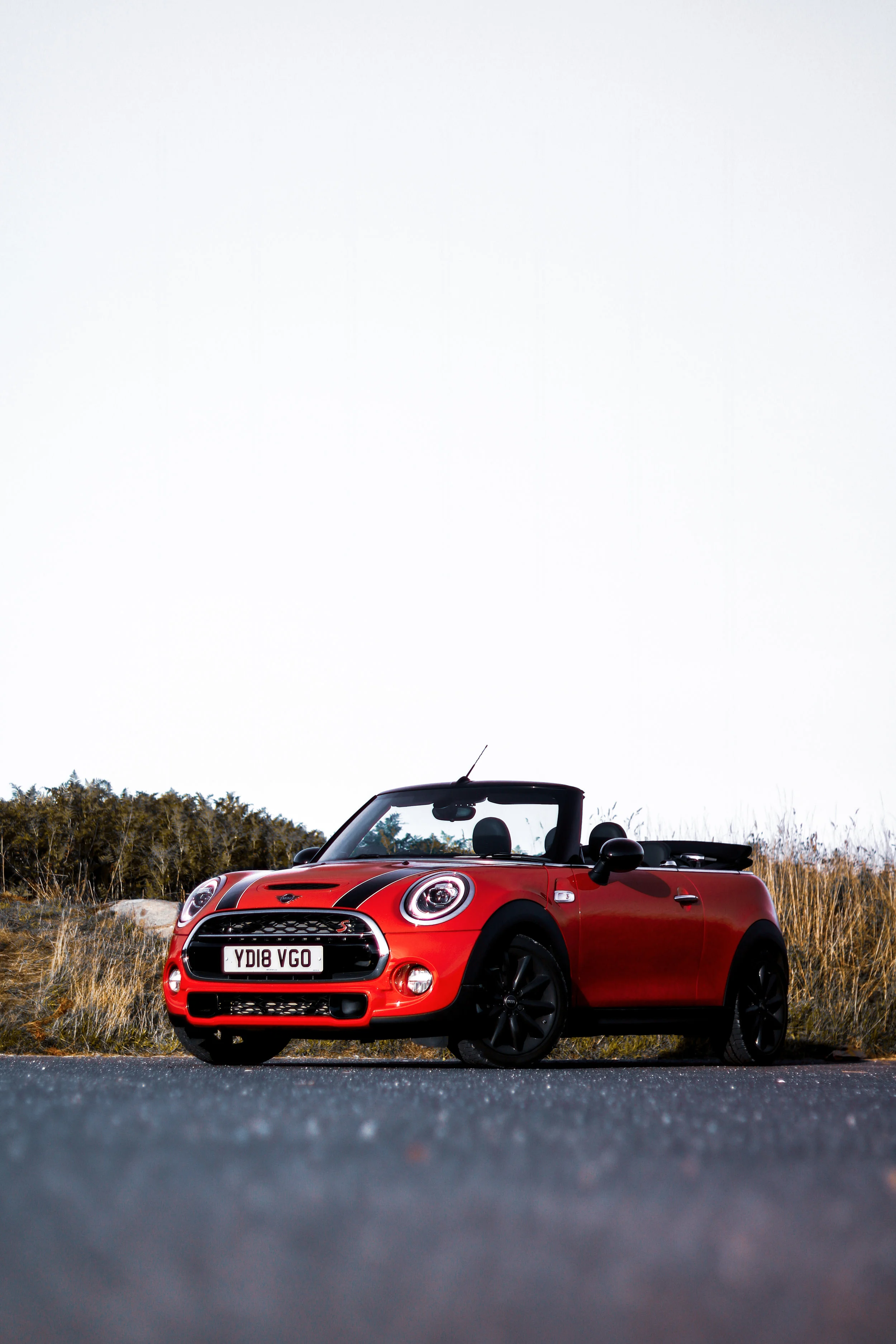 Mini-5.jpg