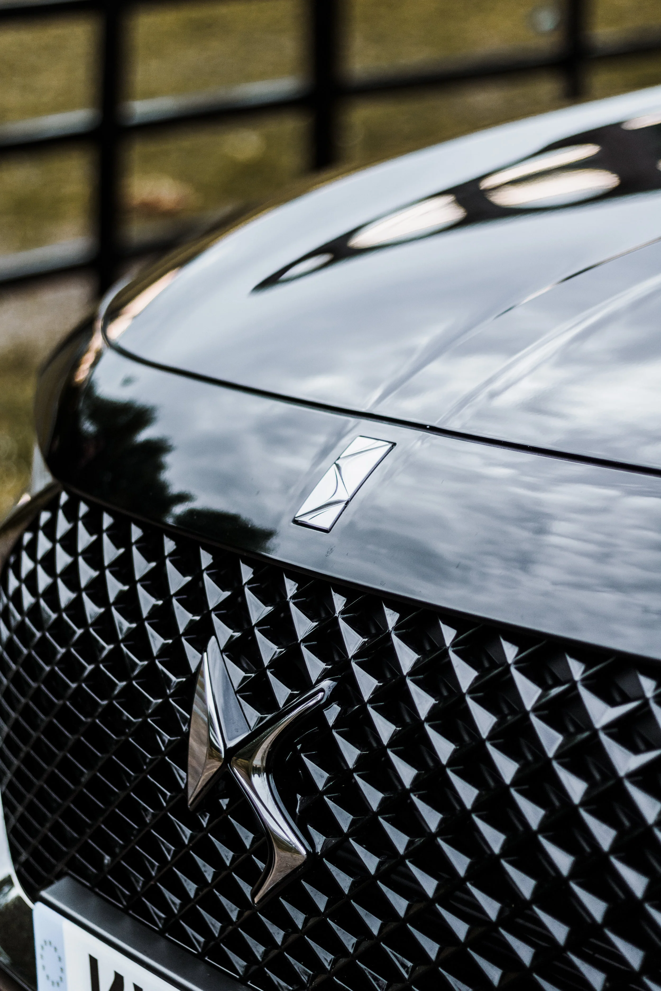 DS Official 25.jpg