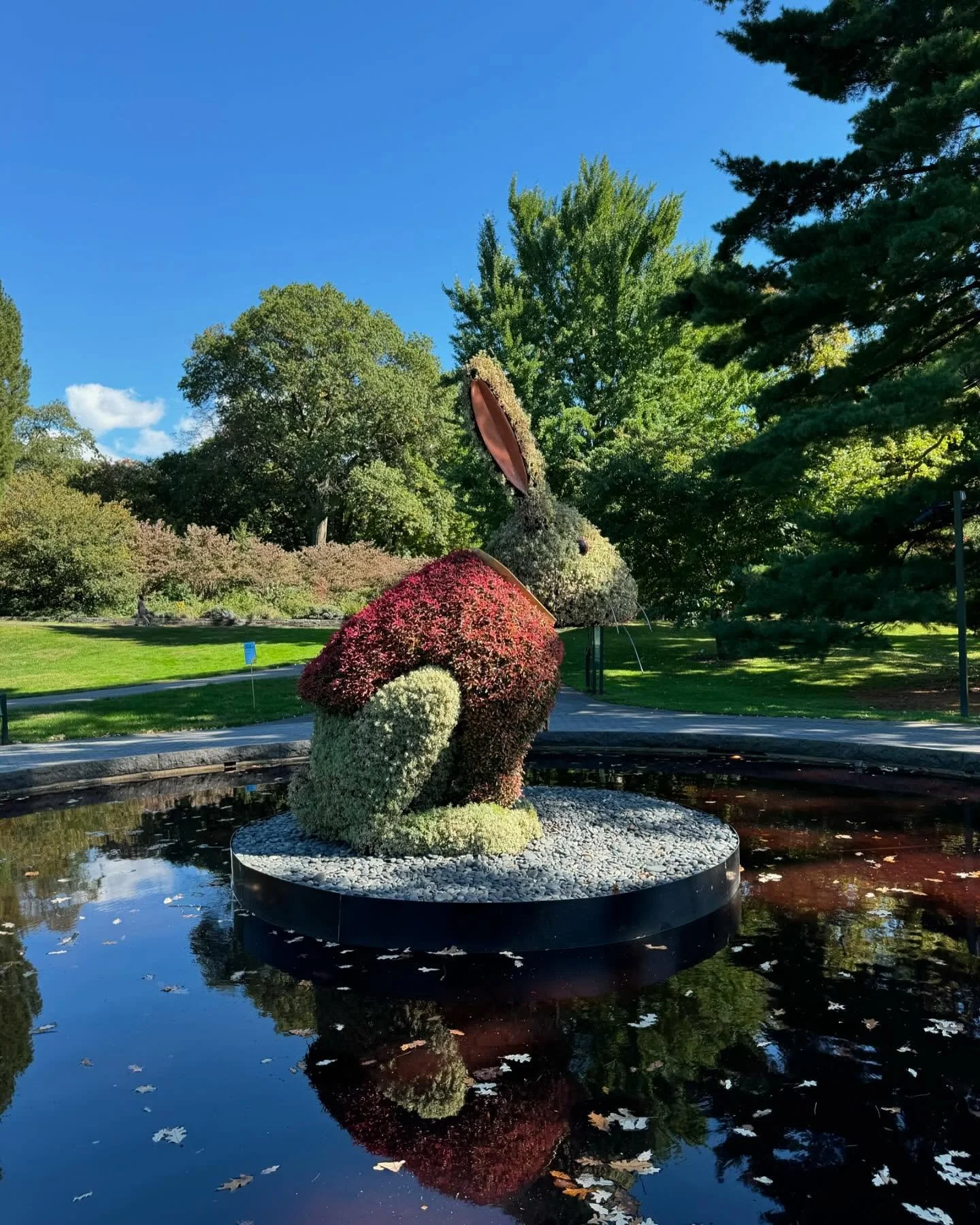 October at the New York Botanical Garden in the Bronx #nybg 

First time my mom visited me after I moved to Brooklyn, we took the subway to Grand Central and the train up to the Bronx. It&rsquo;s my favorite spot in all of New York.