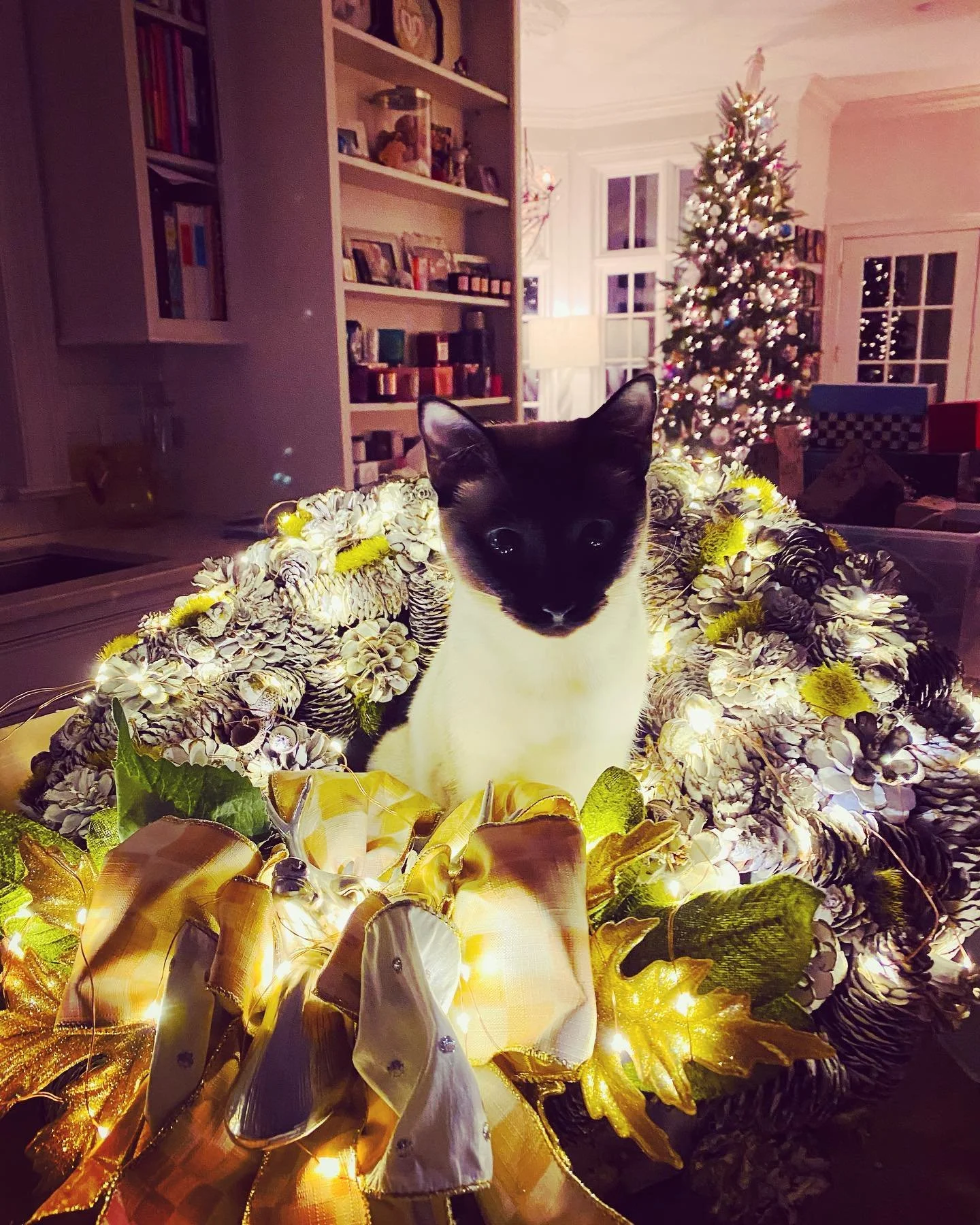 Merry merry