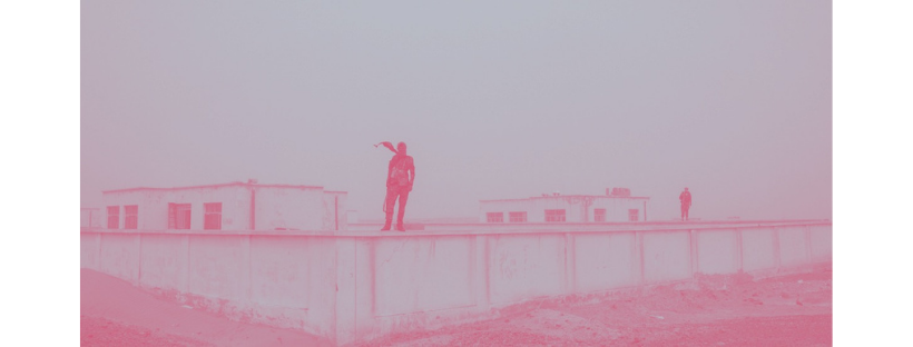 Pink Terrorist