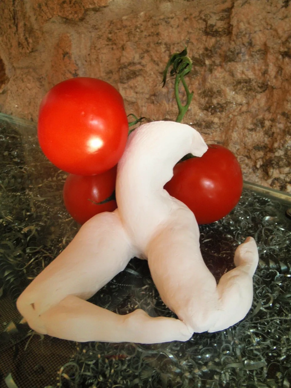 grace with tomatoes-1.JPG