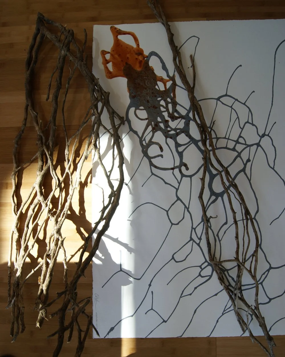 Dry vines displayed alongside painting