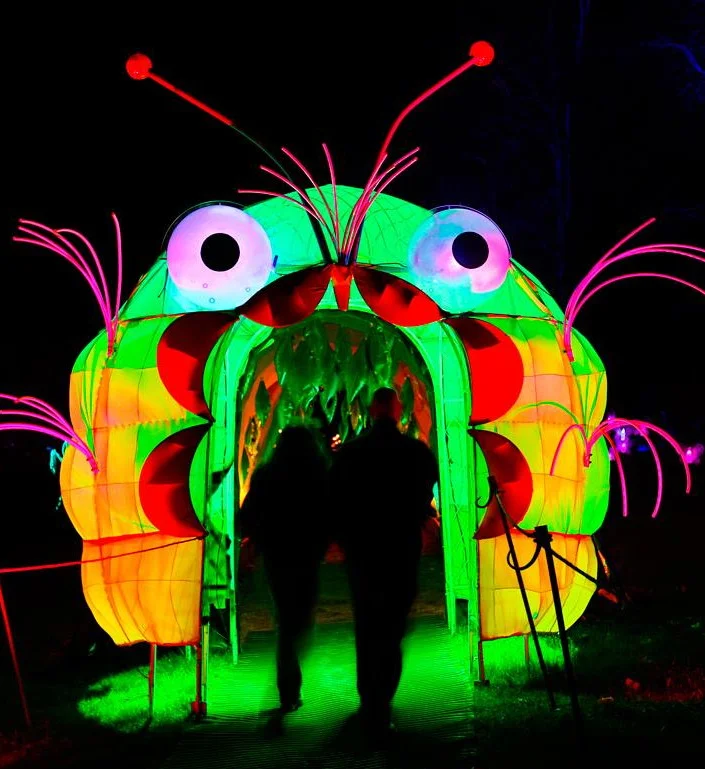 Caterpillar Cavern at the LightScapes, Croton on Hudson, NY