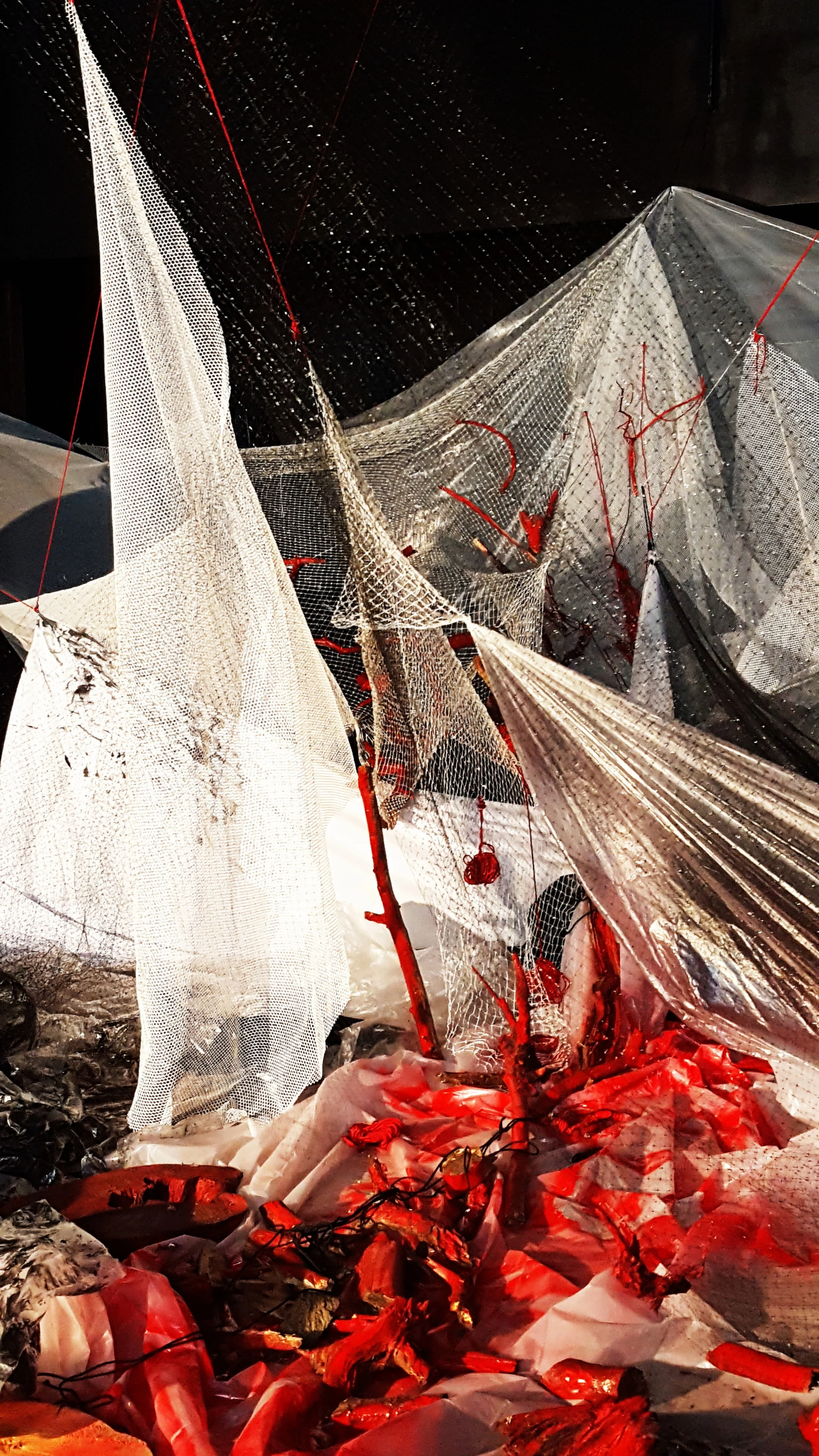 Shattered Dreams - Day 6