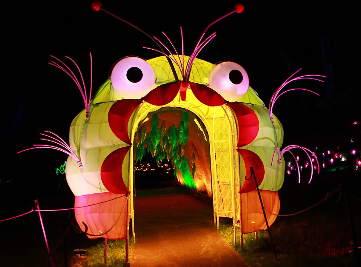 LIGHTSCAPES - Caterpillar Cavern