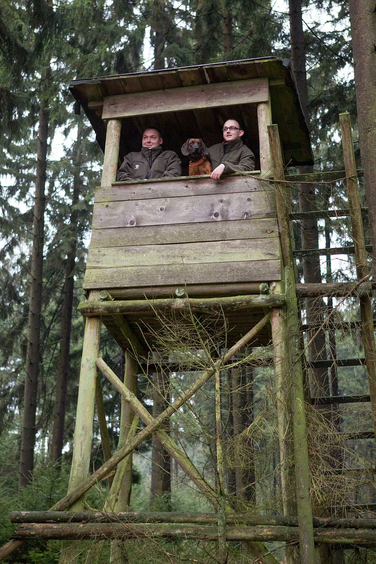 Grüne Berufe - Revierjäger