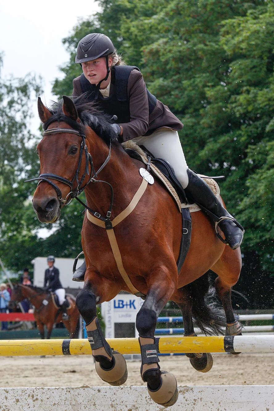 Springreiten