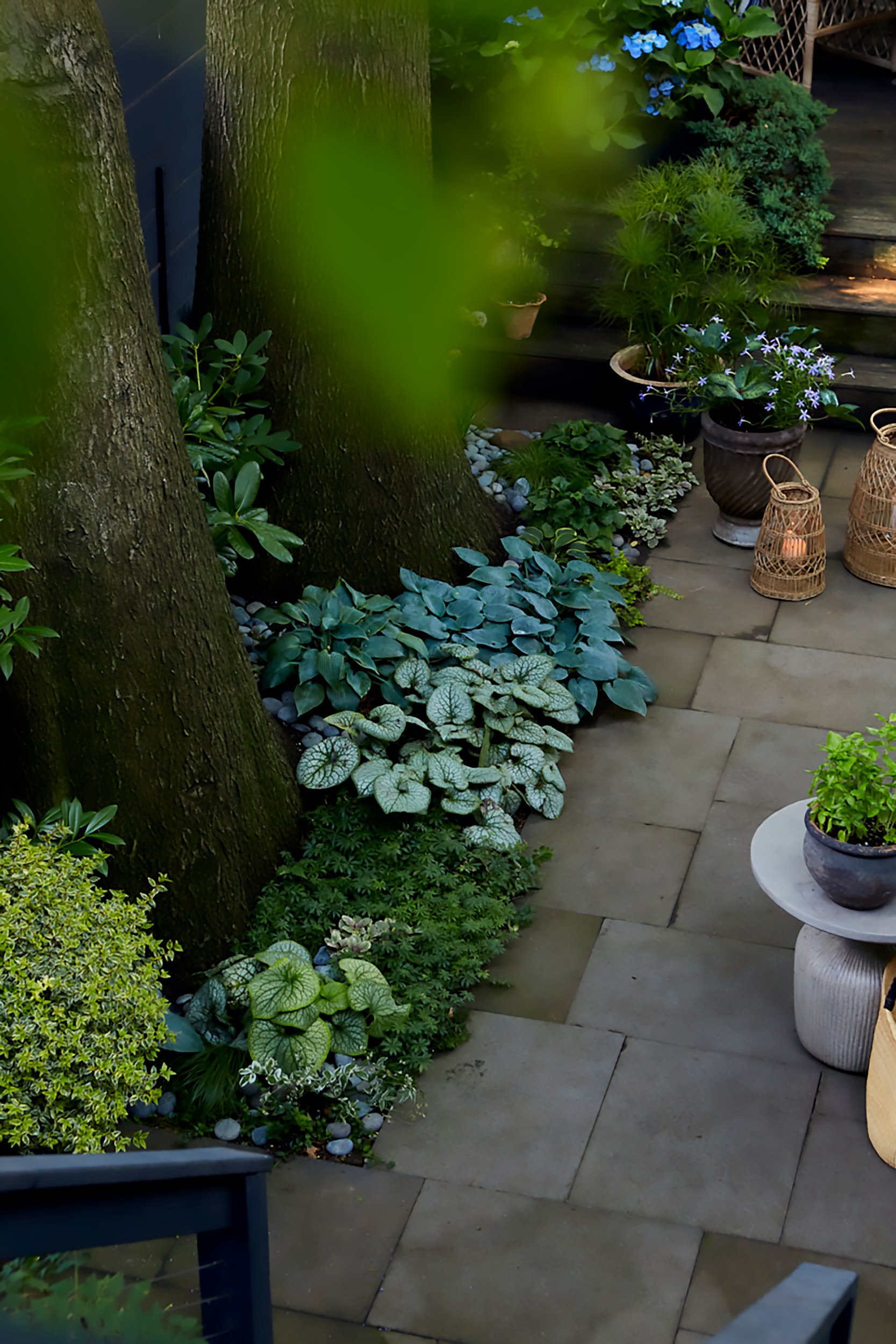 Garden patio with trees, potted plants, and lanterns.