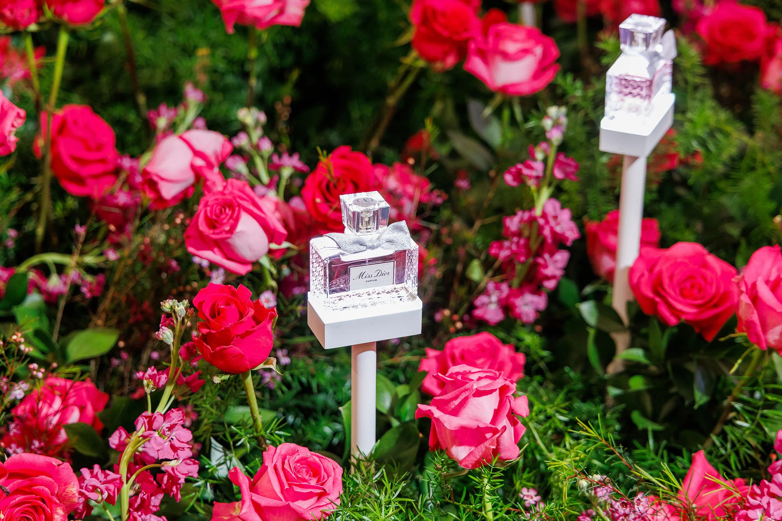 Two small display stands holding bottles of Miss Dior perfume are placed among pink and red roses and flowers in a garden setting.