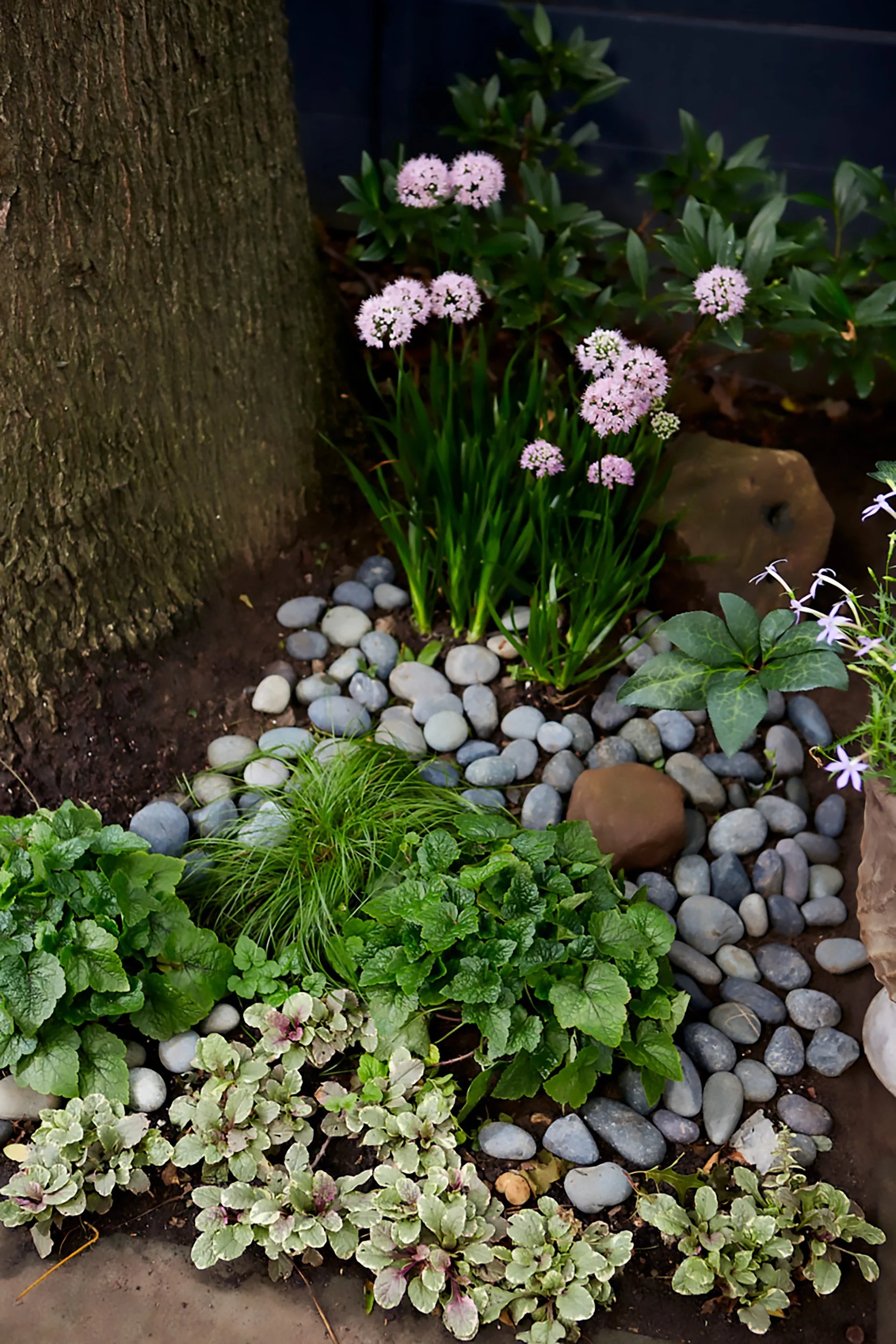 A tree trunk next to a garden bed with pink flowers, green leafy plants, and smooth river rocks.