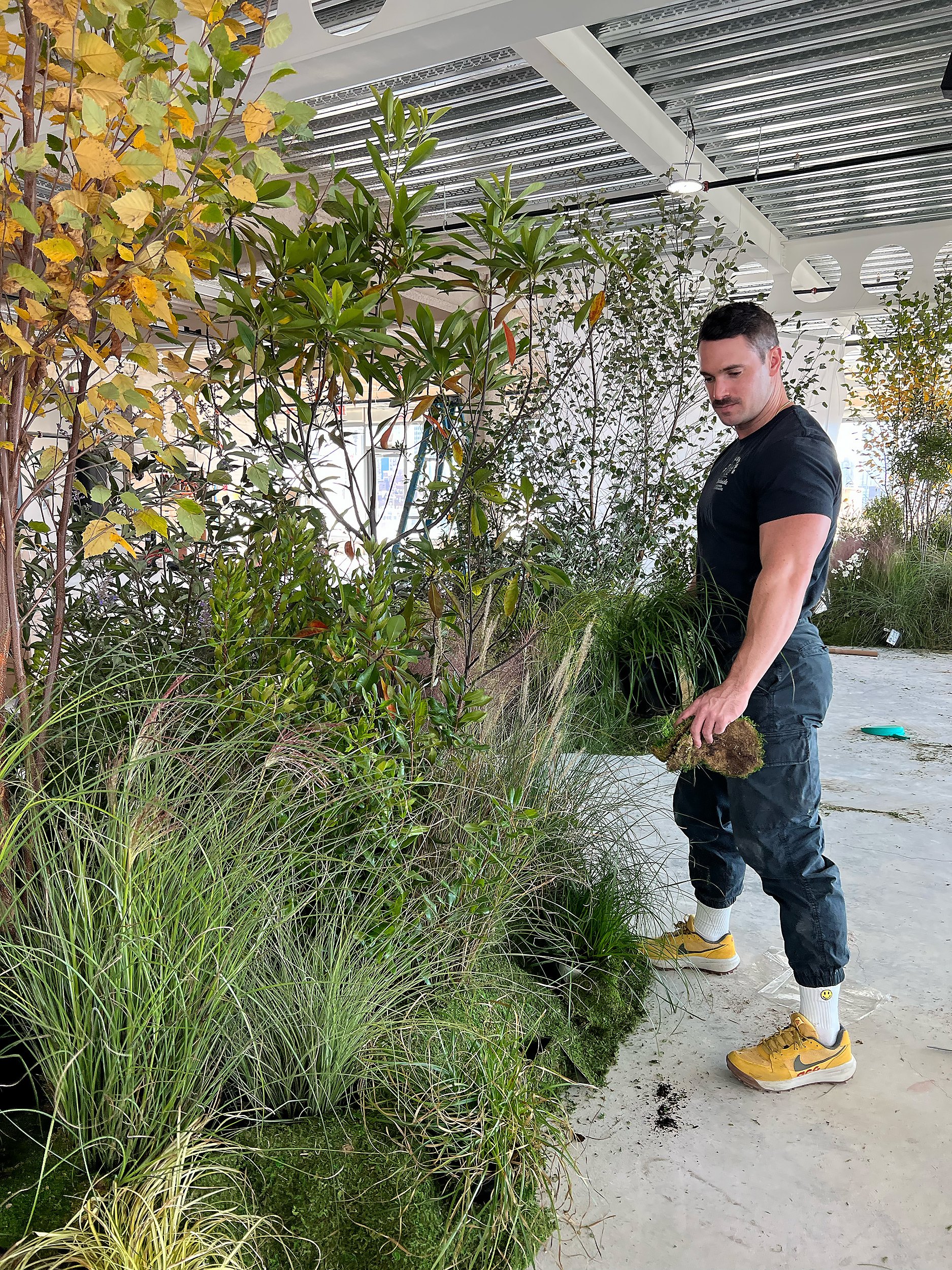 A man in black pants, a black t-shirt, and yellow sneakers is planting or tending to greenery inside a building with a metallic ceiling. He is holding a clump of moss and standing among tall grasses and leafy plants.
