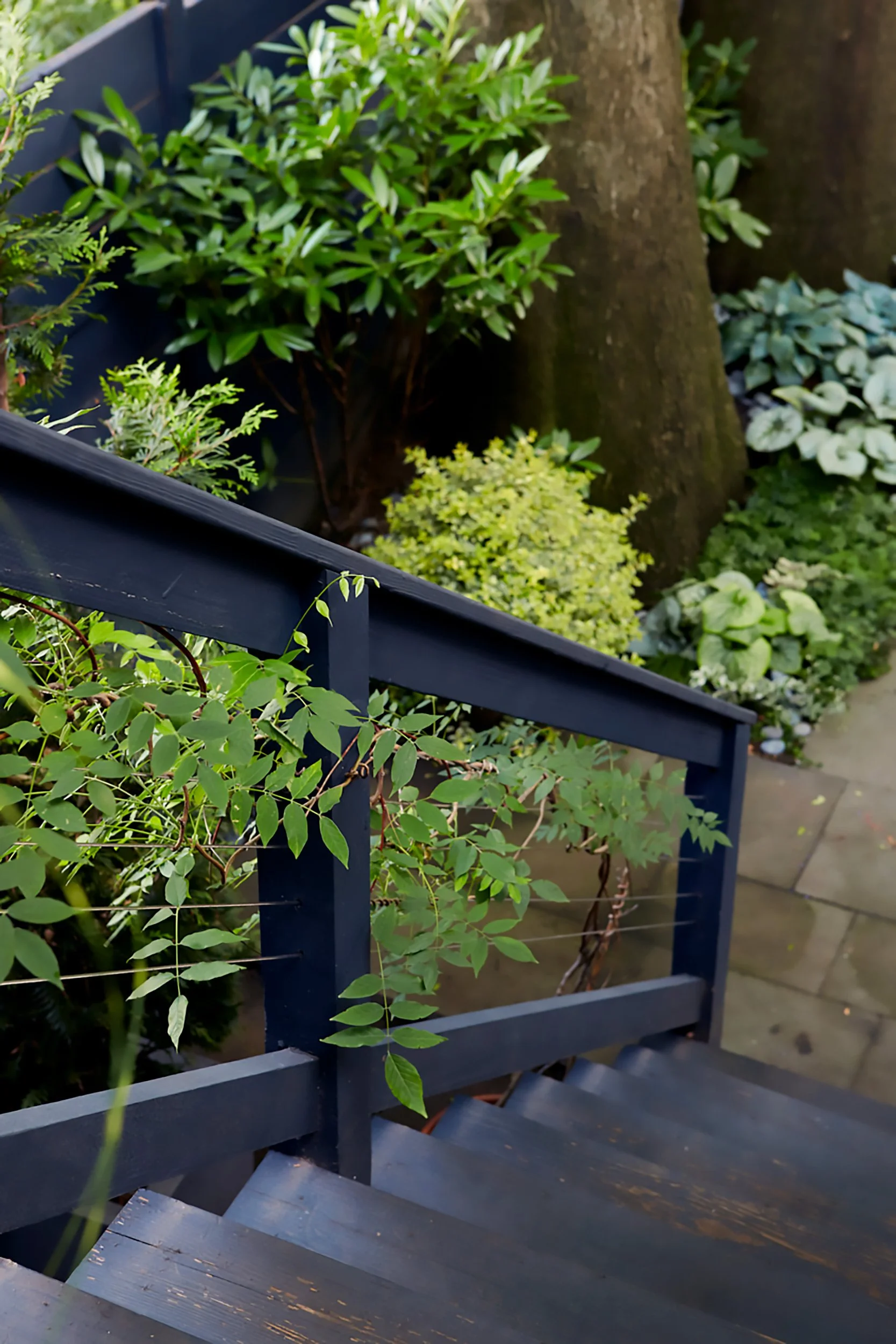 A garden scene featuring a black wooden staircase with green climbing plants, lush bushes, and a large tree trunk in the background.
