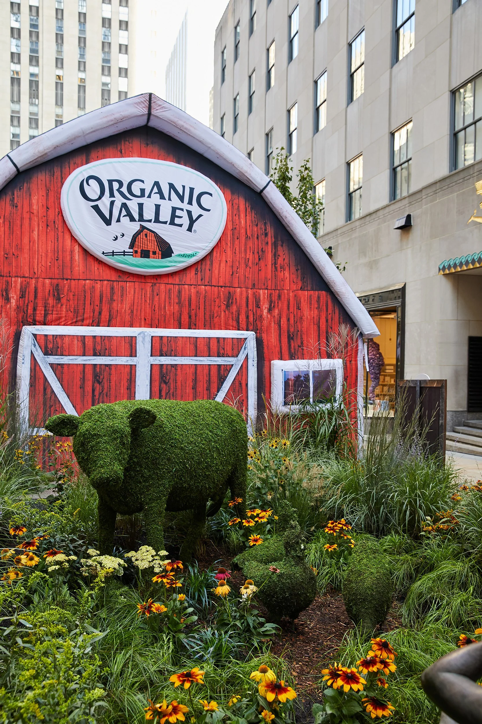 A small farm-themed display with a red barn facade, a sign reading 'Organic Valley,' a topiary shaped like a cow, and surrounding flowers in an urban setting.