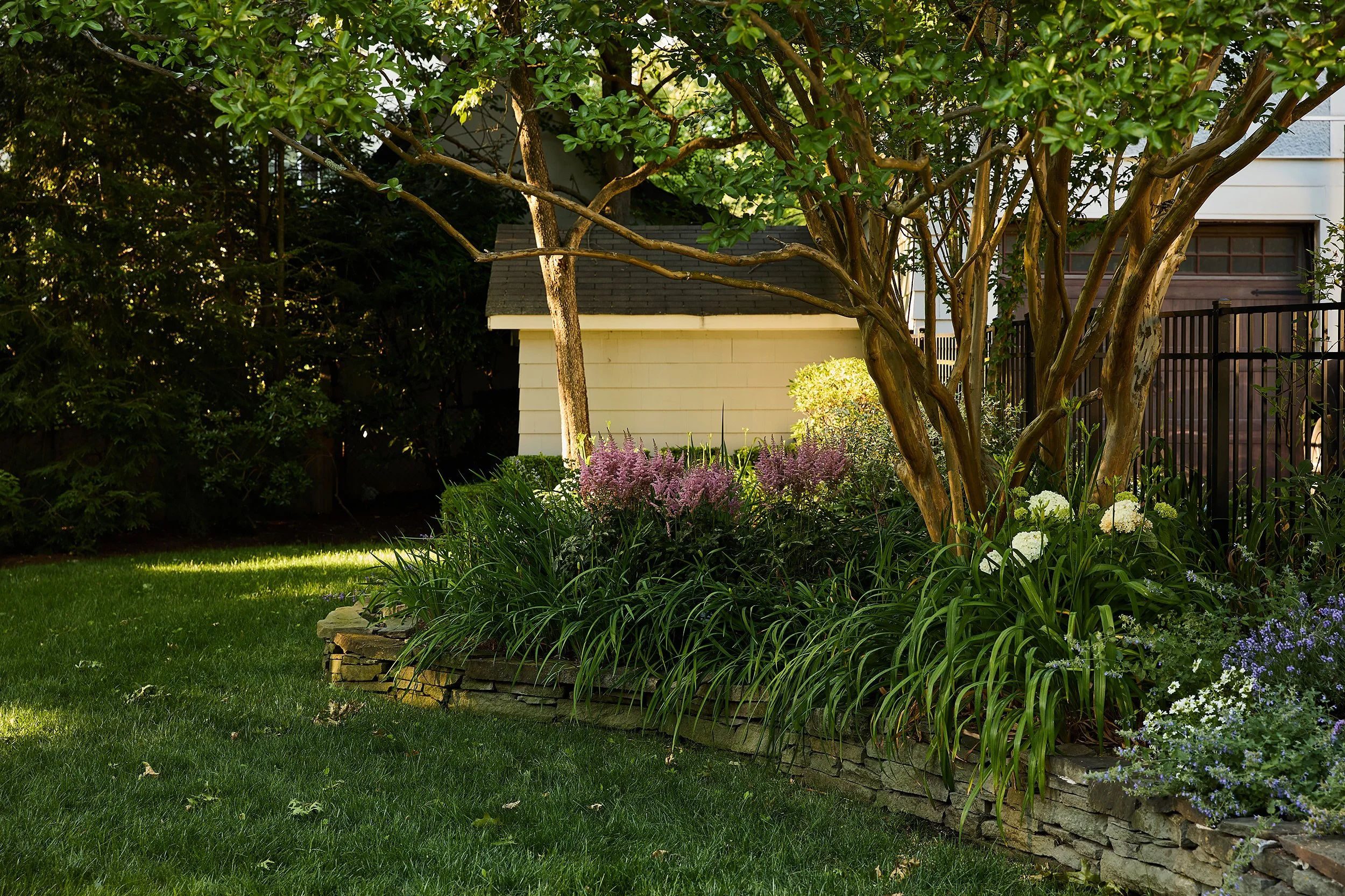 A lush backyard garden with a small tree, purple and white flowering plants, green grass, and a white shed in the background.