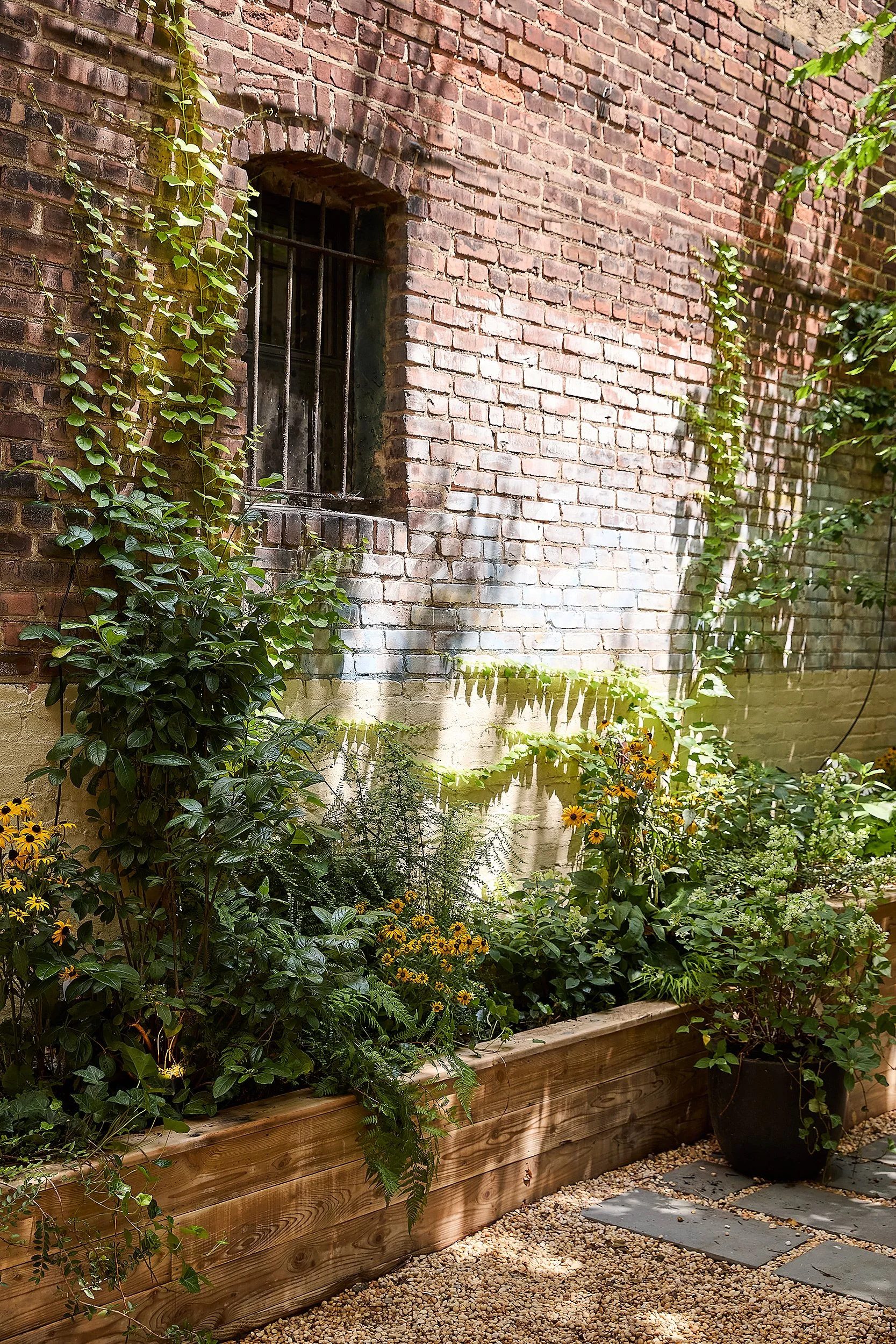 A small urban garden with a brick wall, some plants, and flowers in a wooden planter box. There are climbing plants growing on the wall and a small window with bars.