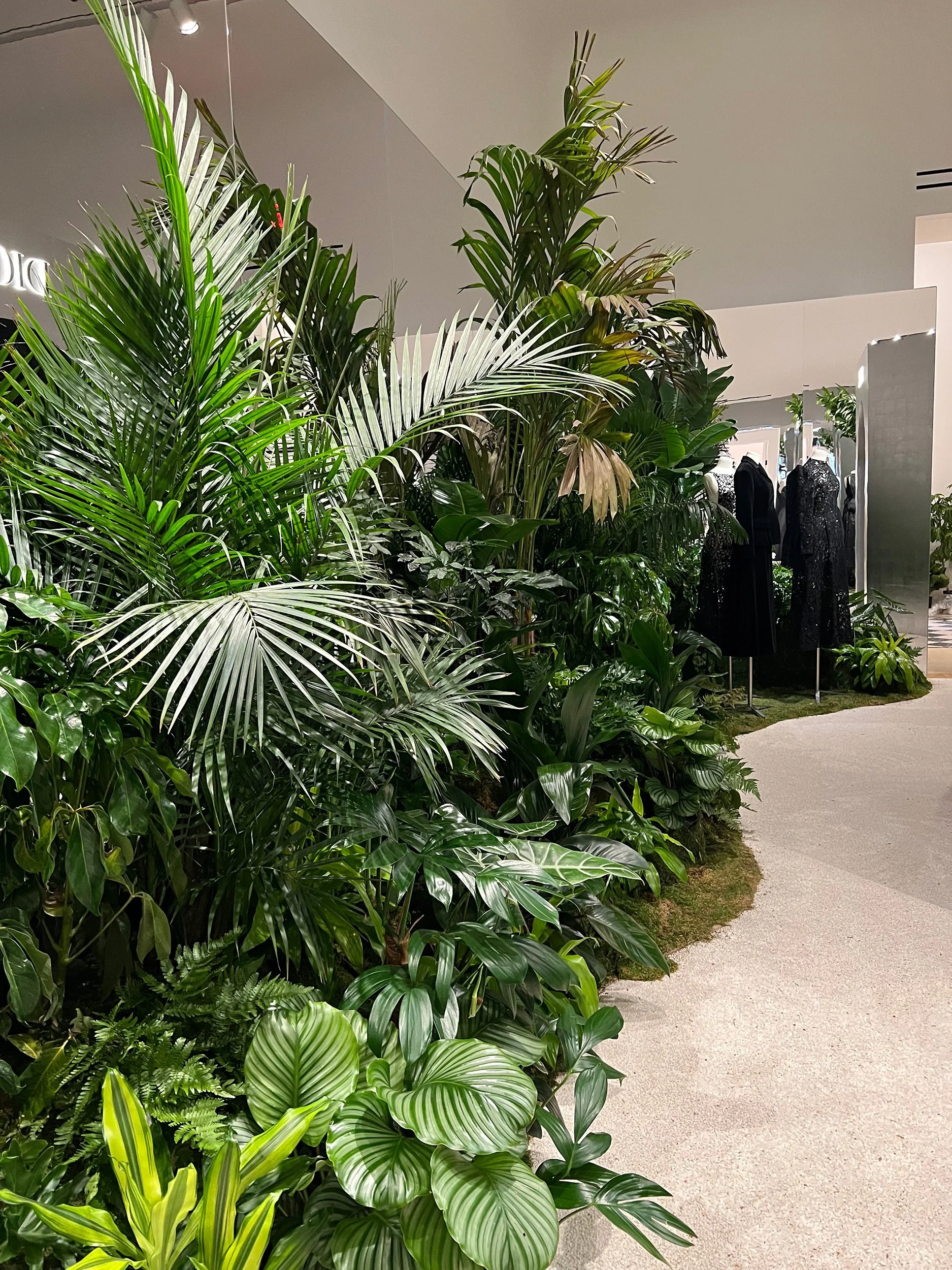 Indoor display of lush green tropical plants and mannequins dressed in black clothing in the background.