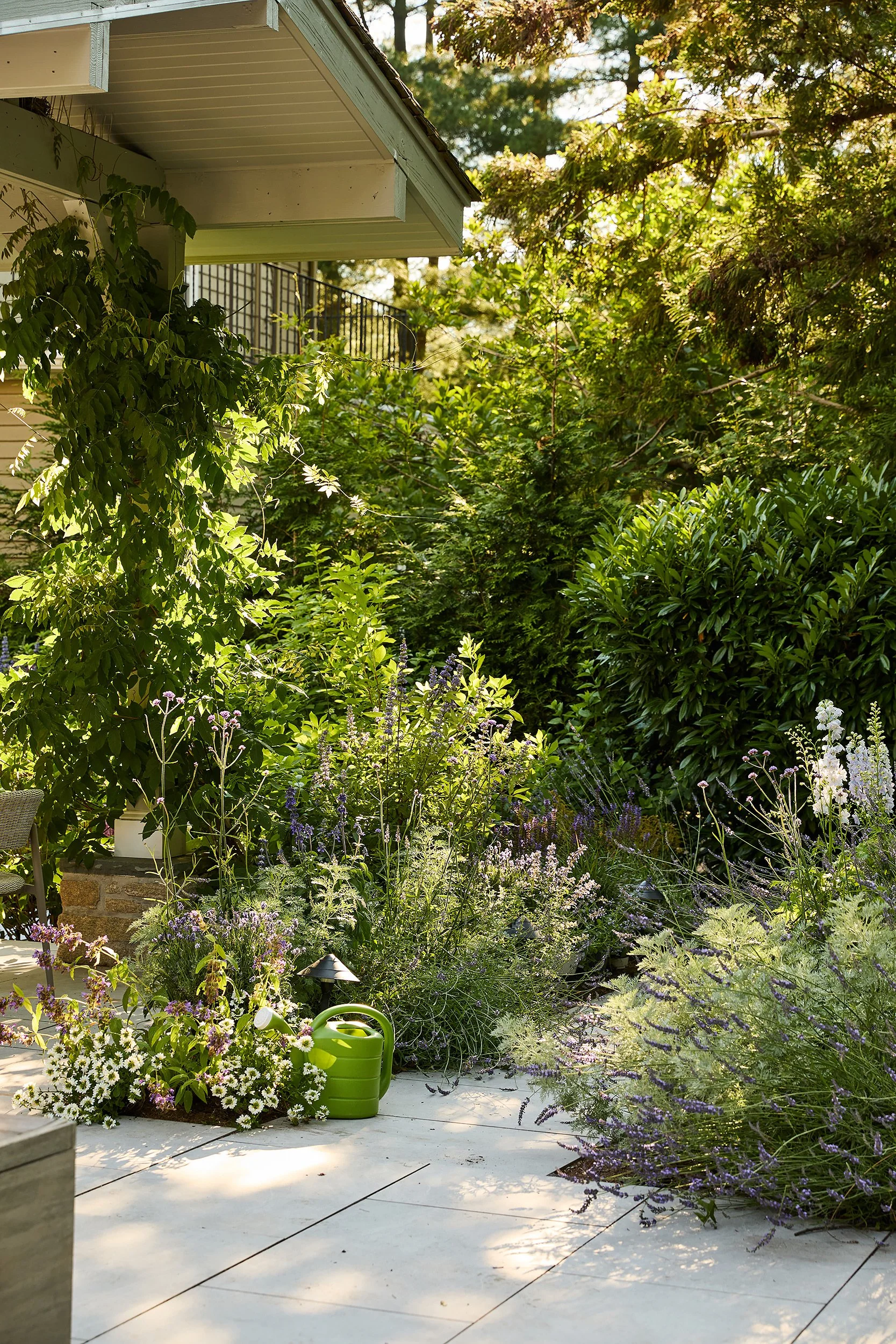 A lush garden with various green plants and purple, white, and yellow flowers, on a paved patio area next to a house with a roof overhang. A green watering can sits among the plants, and sunlight filters through the trees.