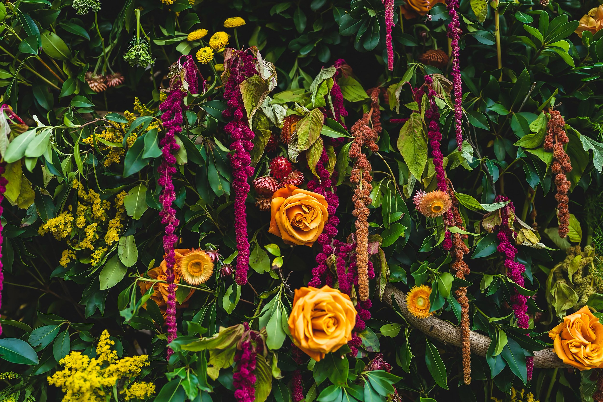 A vibrant display of yellow roses, pink and purple hanging amaranth flowers, and various green foliage with some yellow and pink flowers interspersed.