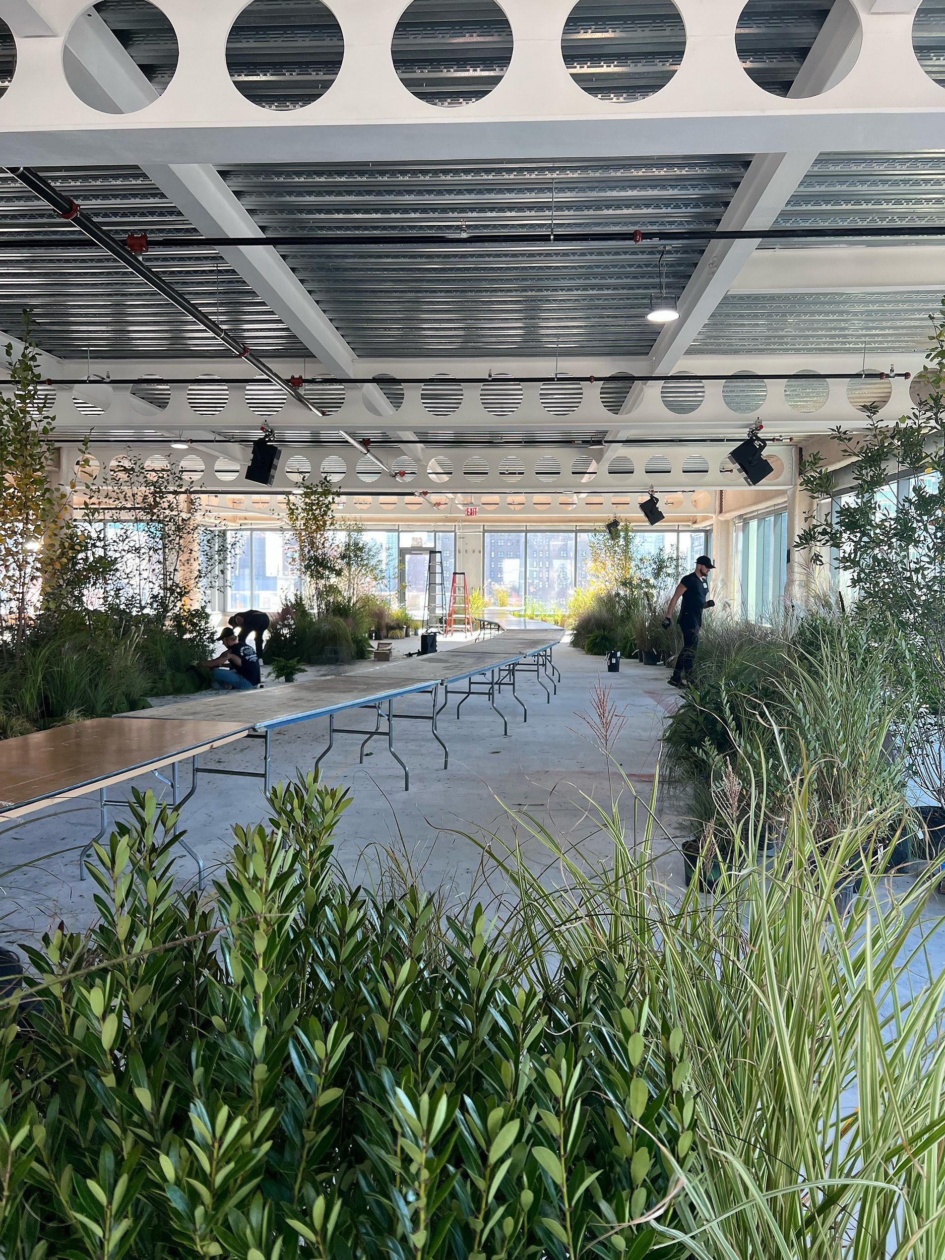 Interior of a building under construction or setup, with large windows, raised ceiling with metal beams, and plants along the sides. Workers are present, some working close to the plants, and a ladder is visible near the back.