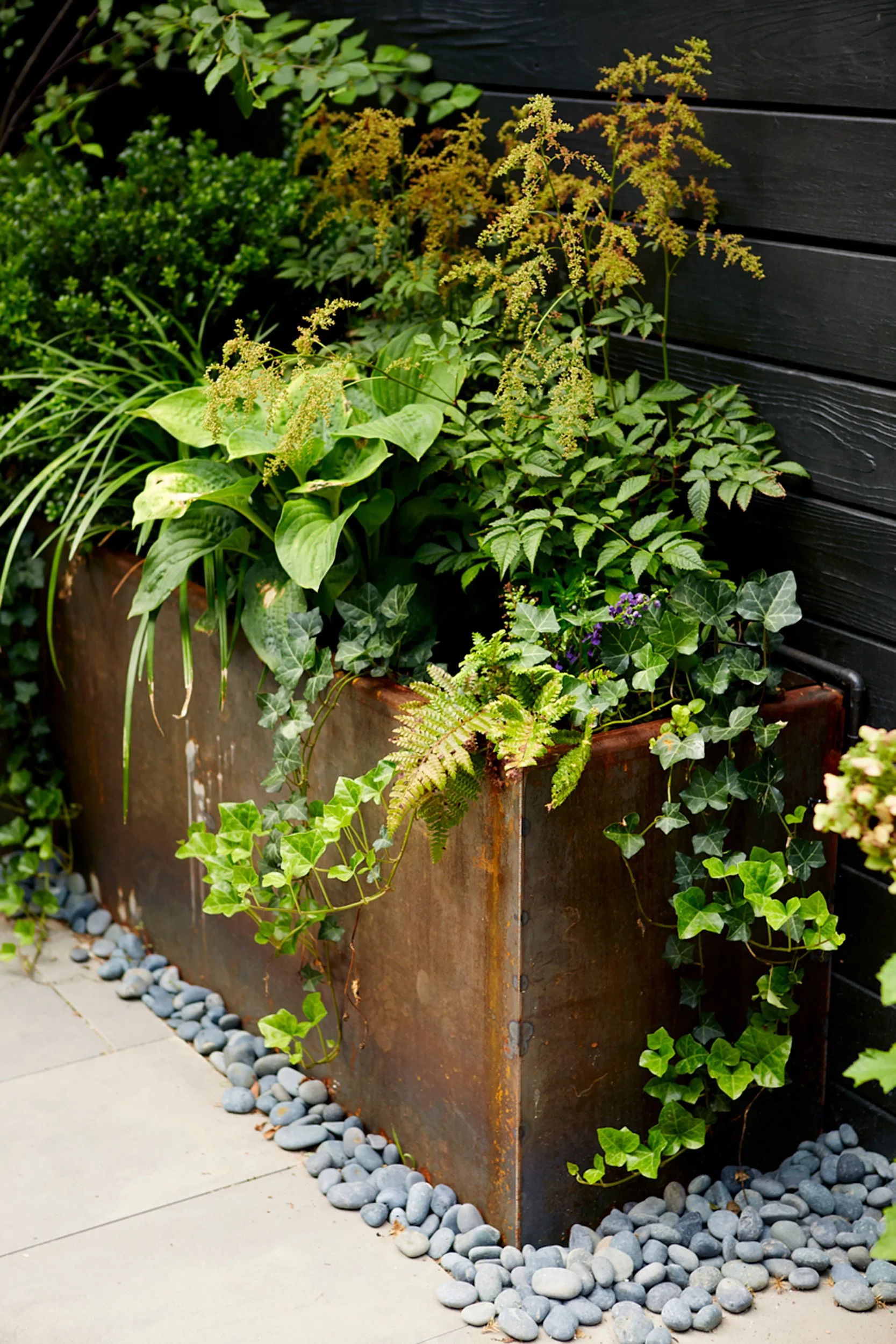 A rectangular rusted metal planter filled with various green plants, including ivy and ferns, placed on a paved surface with gray decorative rocks along the edge.