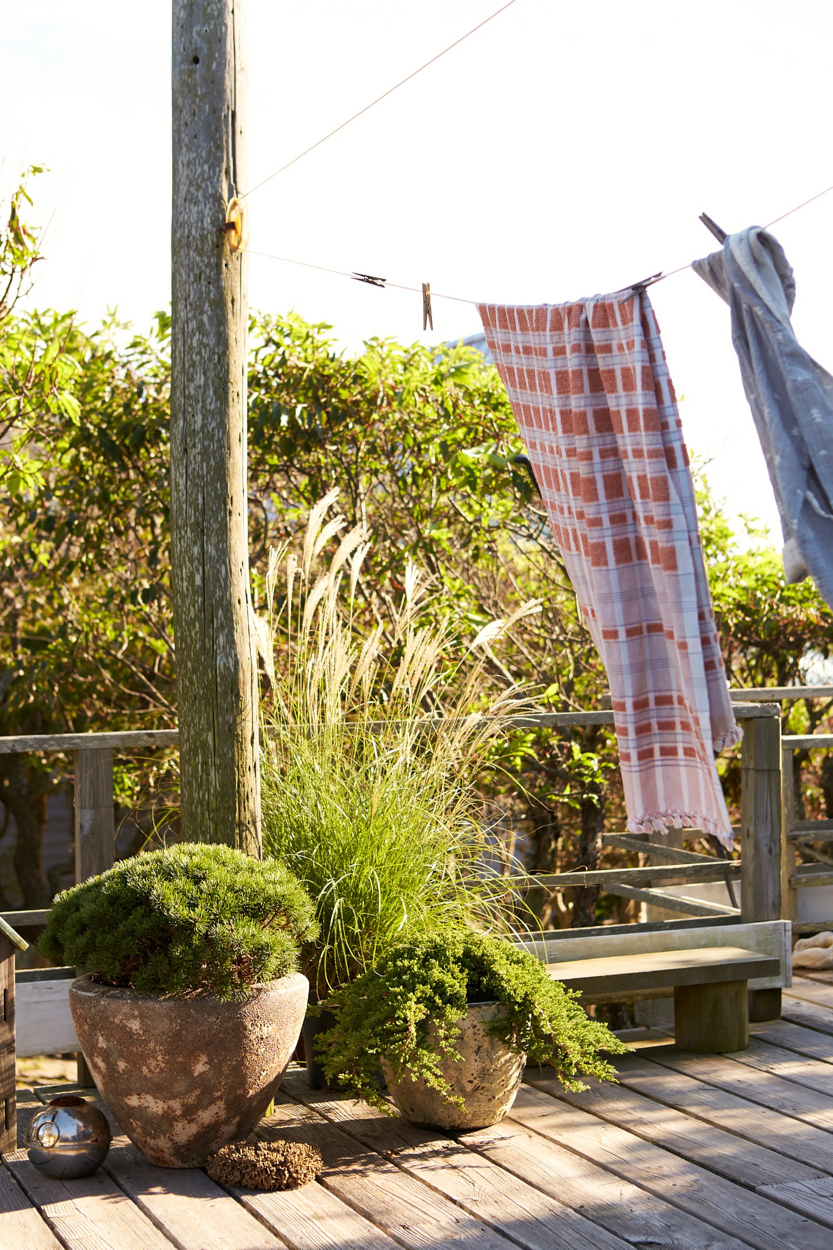Clothes hanging on a clothesline on a wooden deck with potted plants and greenery in the background.
