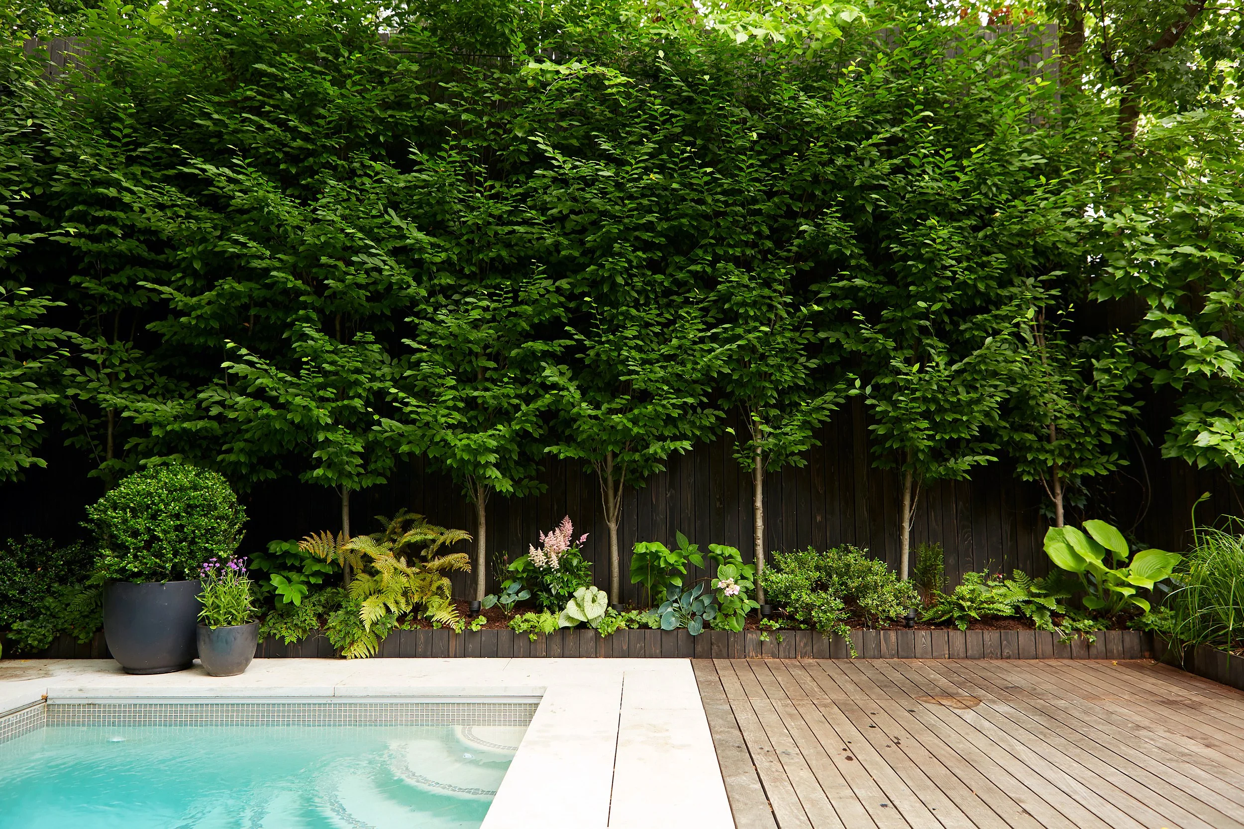 Backyard with pool, wooden deck, potted plants, and lush green trees and shrubs.