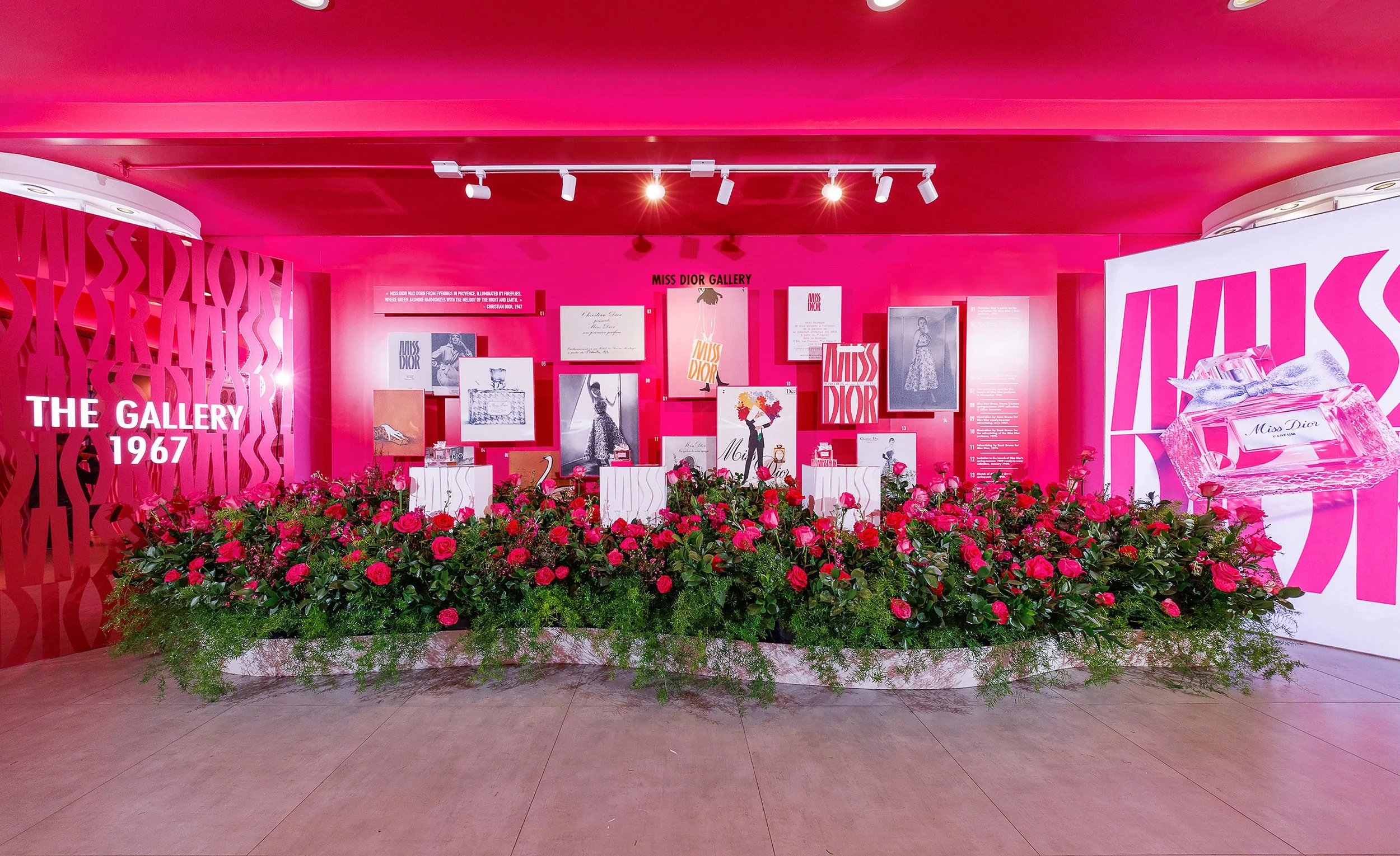 Exhibition display at the Miss Dior Gallery with pink walls, framed pictures, and a large bed of pink flowers in the foreground.