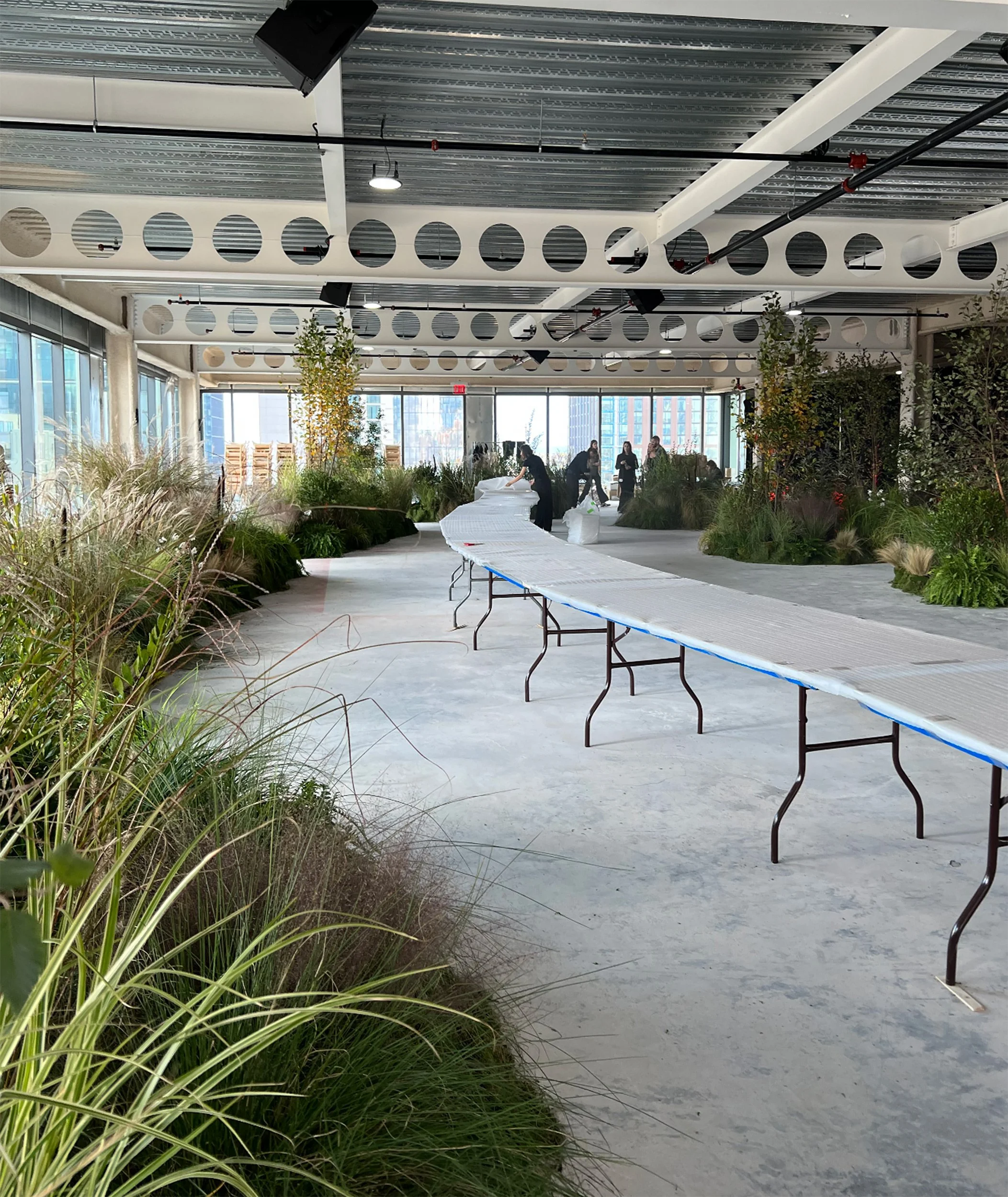 Interior of a greenhouse or urban garden with plants and a curved walkway, people working in the background, and large windows allowing natural light.