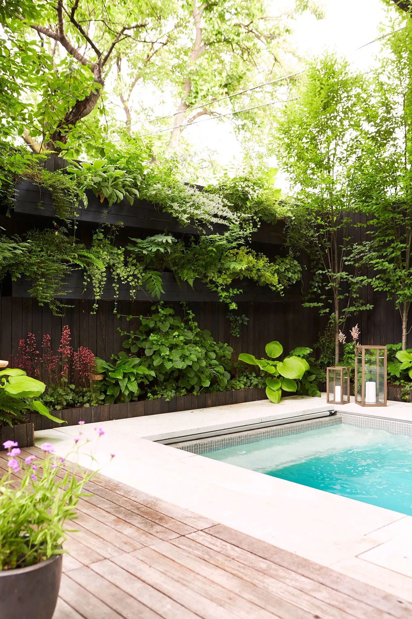 A backyard with a hot tub surrounded by lush green plants, trees, and flowers, with a dark wooden fence and decorative lanterns.