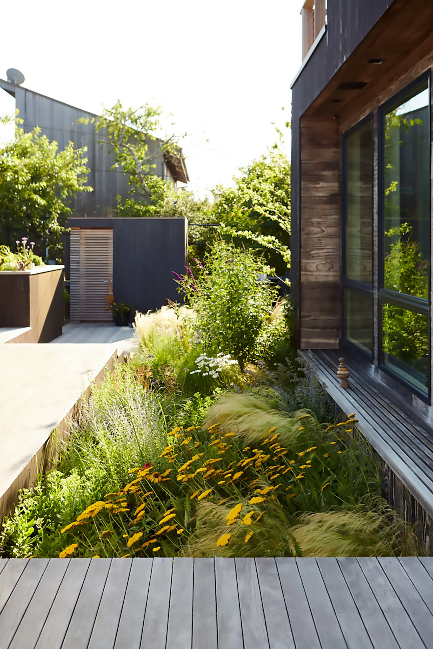 Modern balcony garden with lush green plants, yellow flowers, and a wooden exterior building wall.