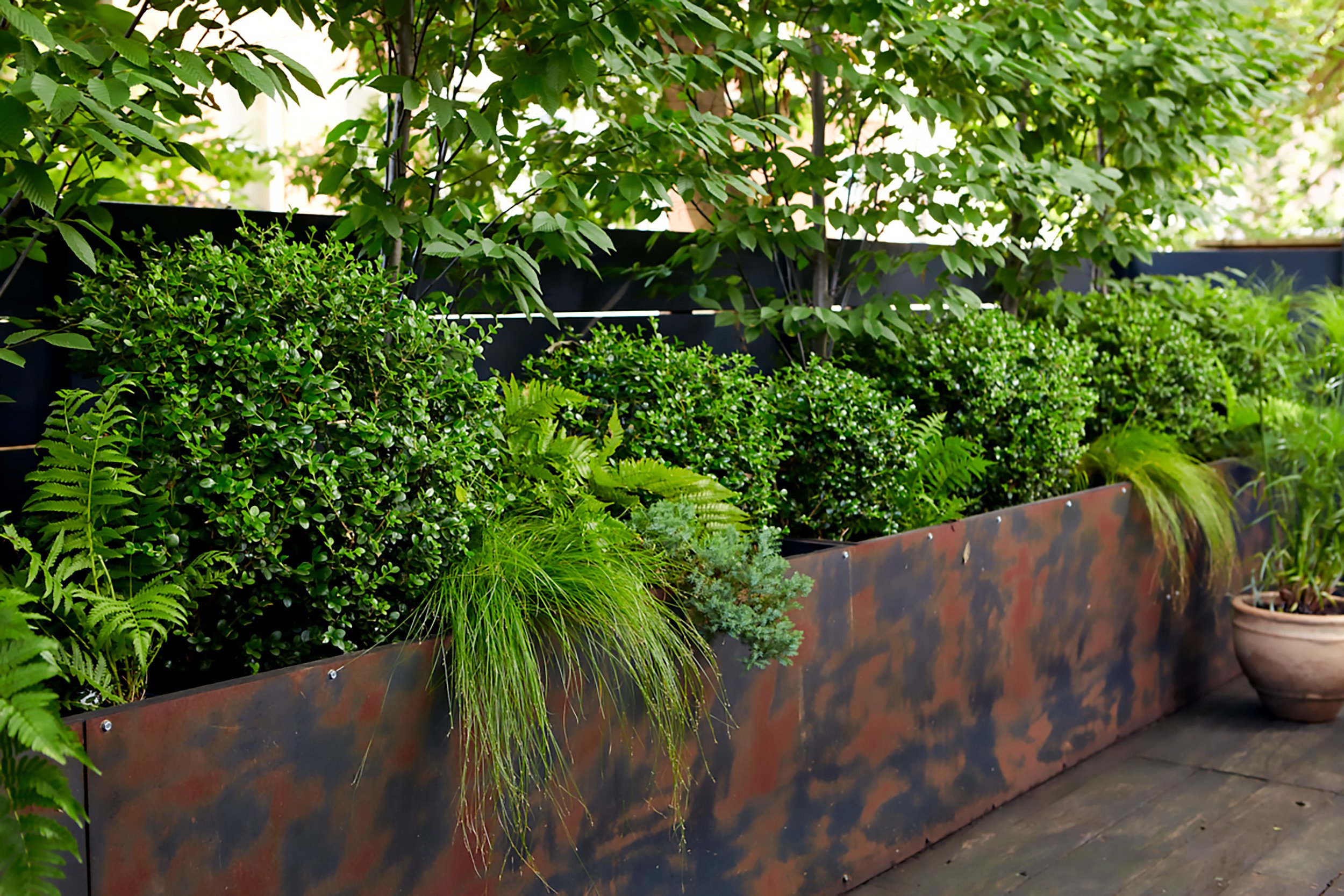 A row of lush green plants and shrubs in a rusted metal planter on a wooden deck, with foliage and trees in the background.