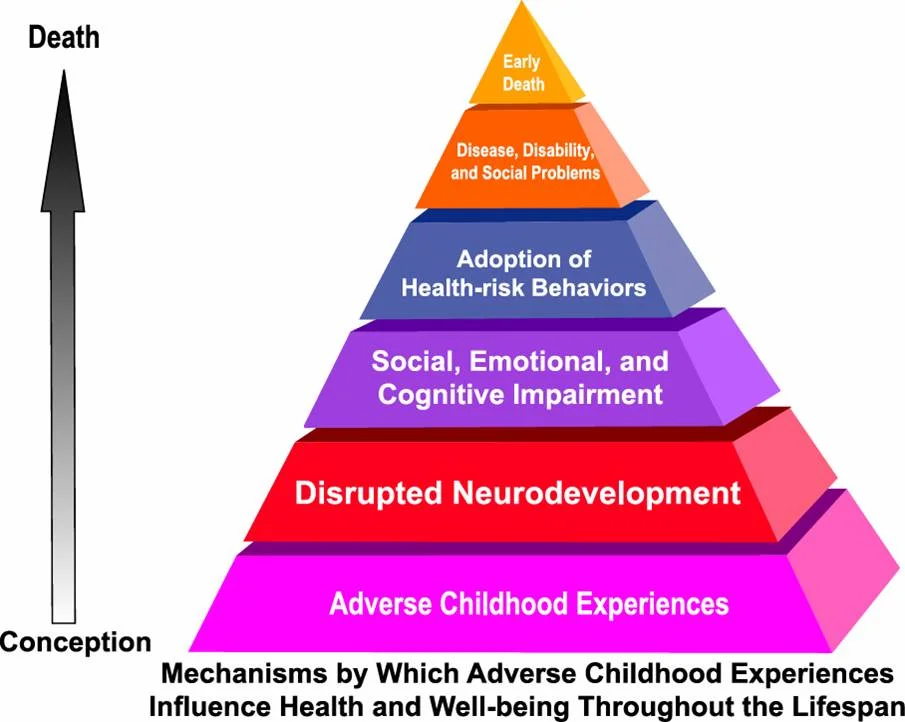 Adverse Childhood Experiences Study — Susan Vlajk