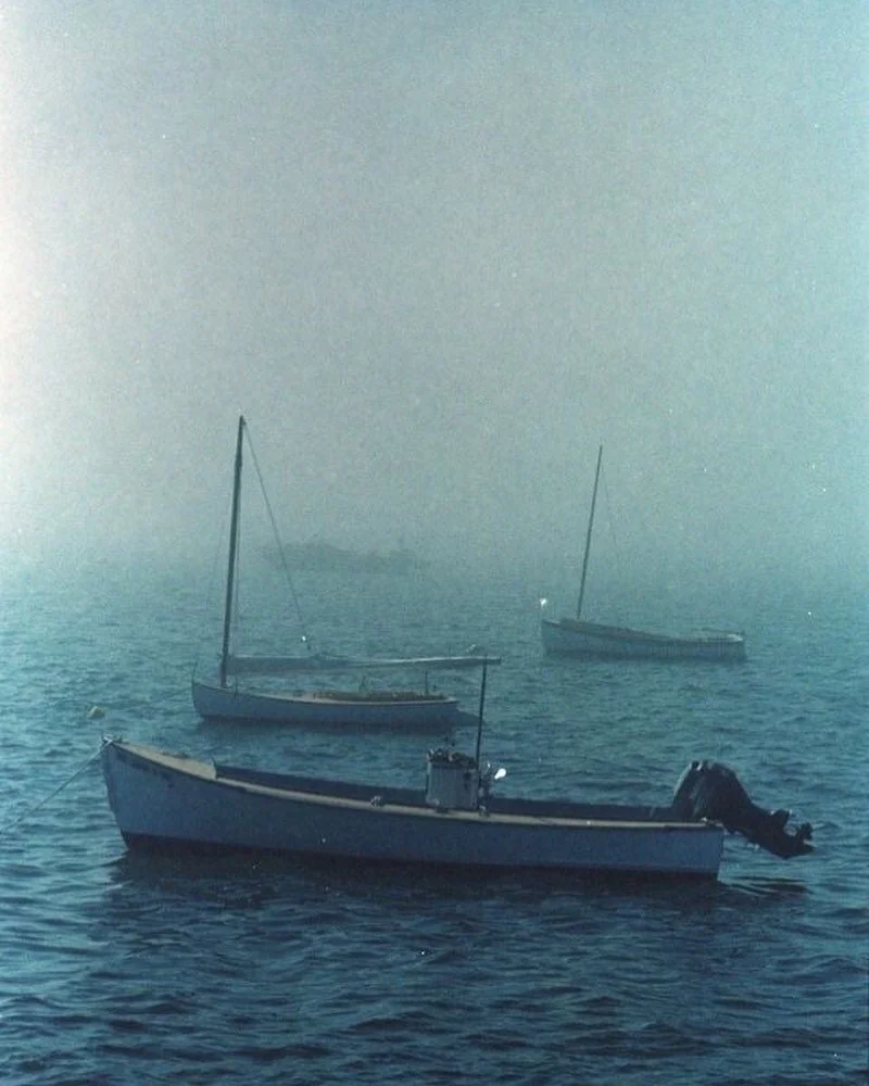 Hope your Saturday is as chill as these napping boats ⛵️😴
