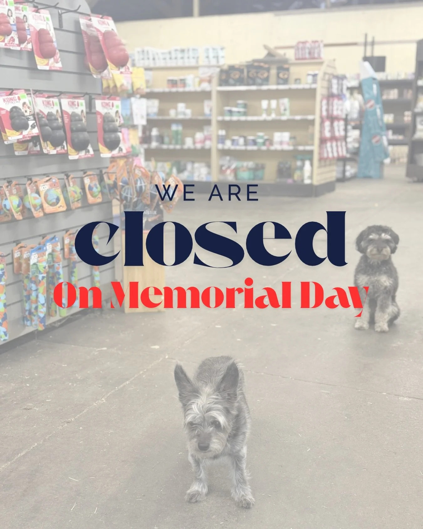 We are CLOSED on Memorial Day, so make sure to come on in today, tomorrow and Saturday to grab everything you need! 

Make sure to take advantage of our Memorial Day sale on select @nutrisourcepetfoods products over the next three days. We can&rsquo;