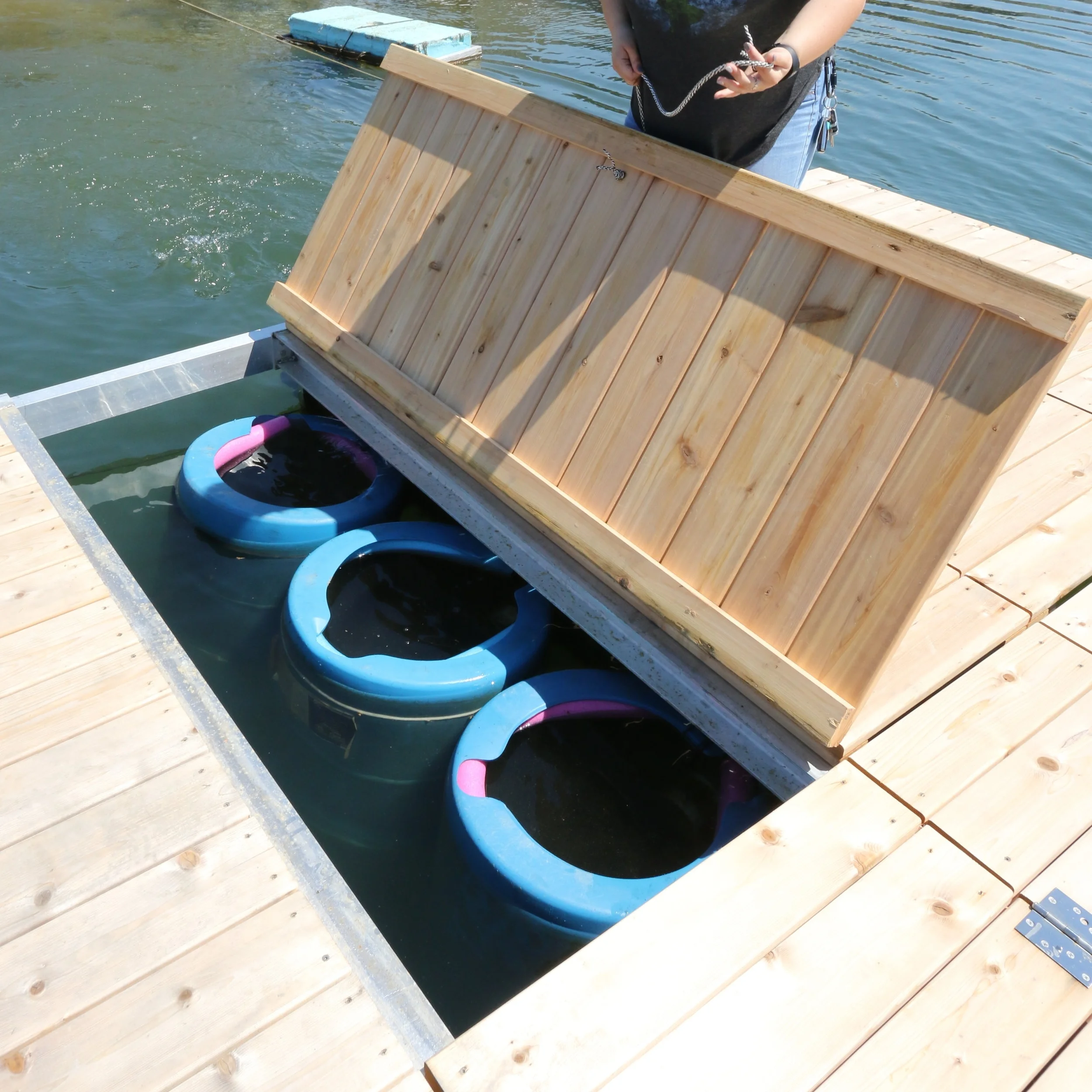 Inside of one of the FLUPSYs