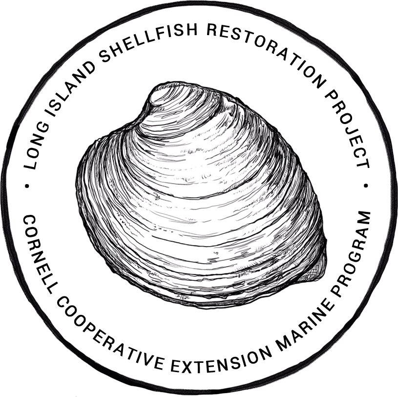 Long Island Shellfish Restoration Project