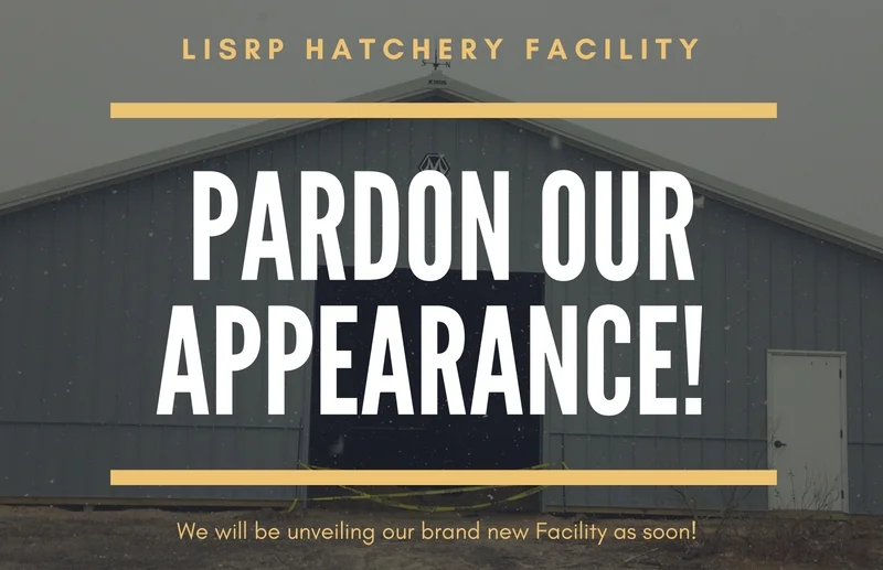 Pardon our appearance.jpg