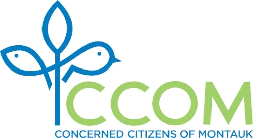 CCOM MYC.jpg