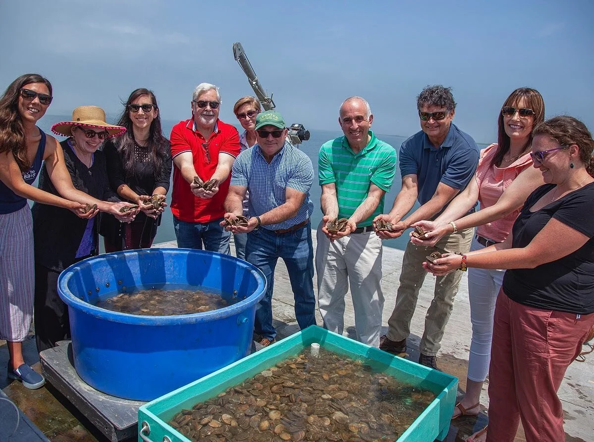 Big news! We&rsquo;re celebrating the kick off of the Southampton Town Community Preservation Fund Water Quality Improvement Project that will enable us to expand our shellfish and habitat restoration efforts, and offer extensive stewardship programm