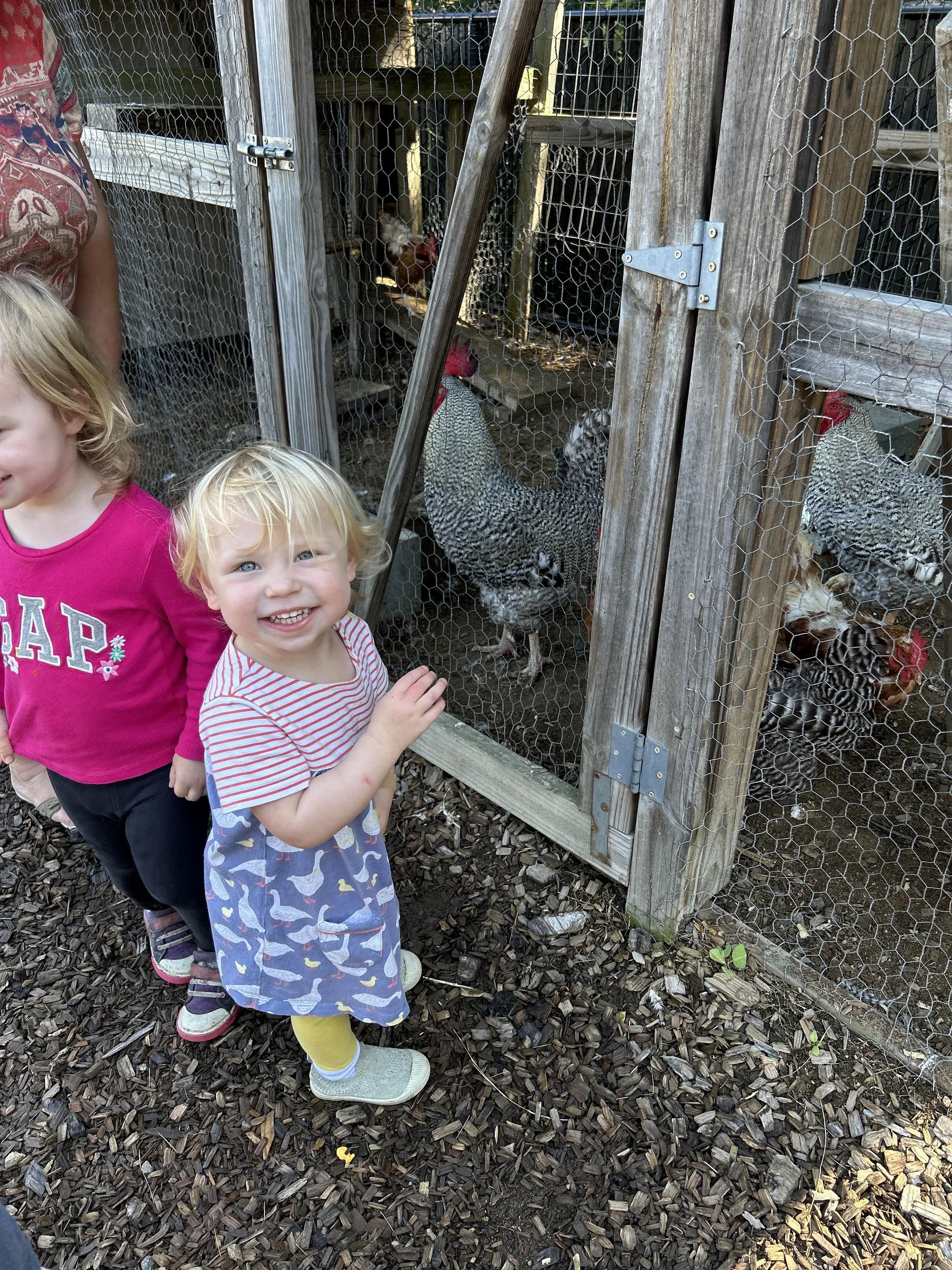 Photo Sep 14 2023, 11 13 39 AM.jpg