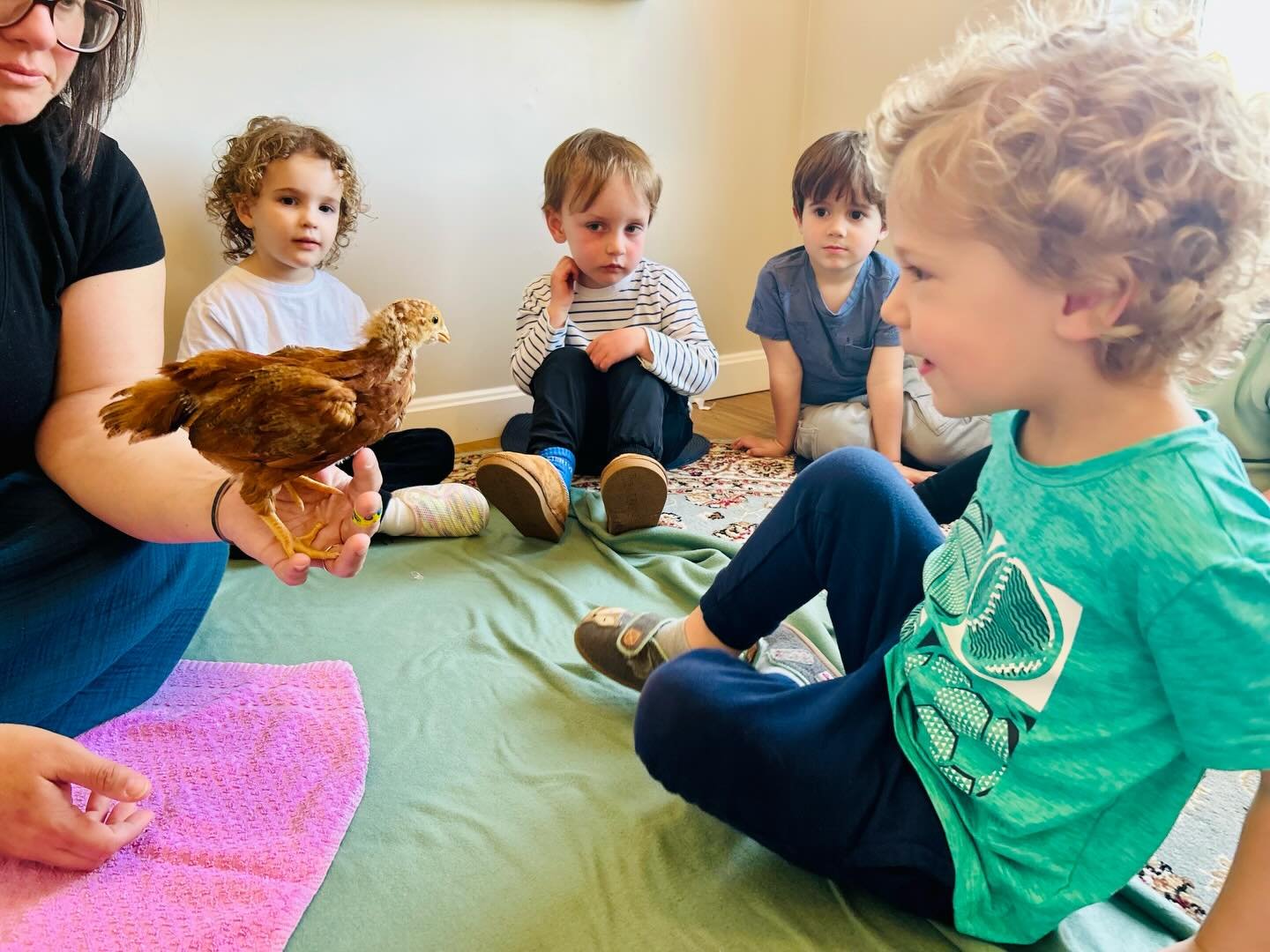 We had some special visitors this month 🐥

One of our teachers brought her chicks in and they have been traveling to each of our classrooms. 

We have been lucky enough to experience the joys of growing chicks and learn all about them - what they ea