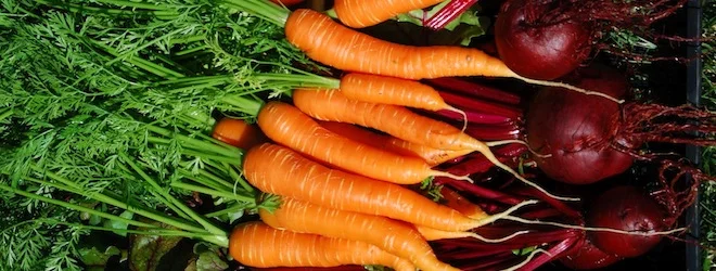 Beets_and_carrots_660_250.jpg