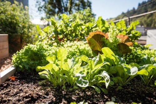 Spring Greens