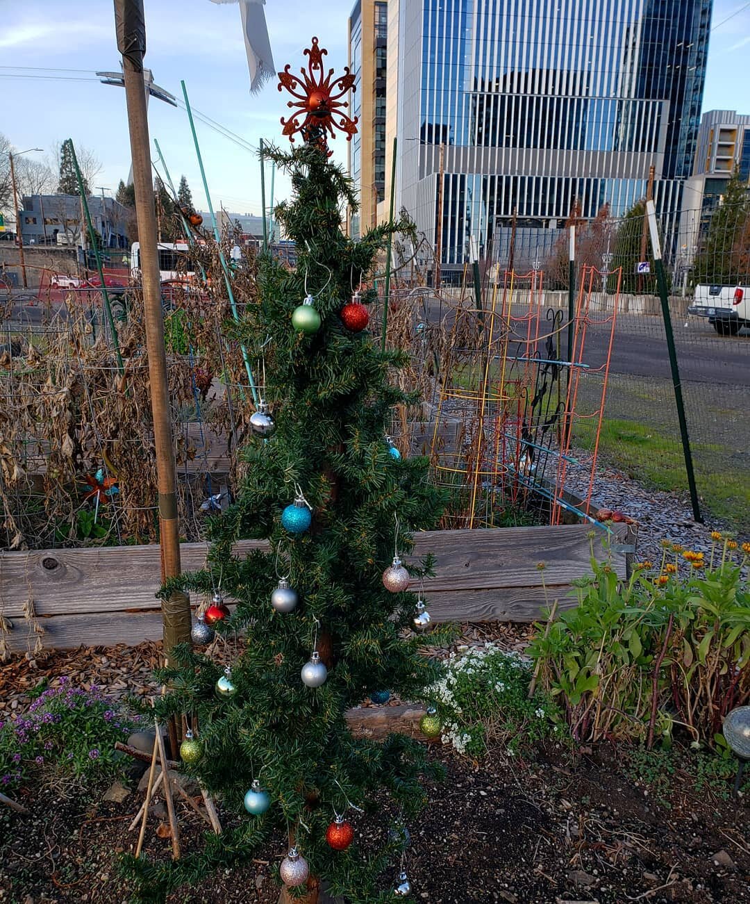 It's beginning to look a lot like Christmas 🎄in the South Waterfront Community Garden! If you'd like to learn more about the availability of garden beds for the 2020 season, reach out to Community Garden Manager Pete Collins at pete@southwaterfront.