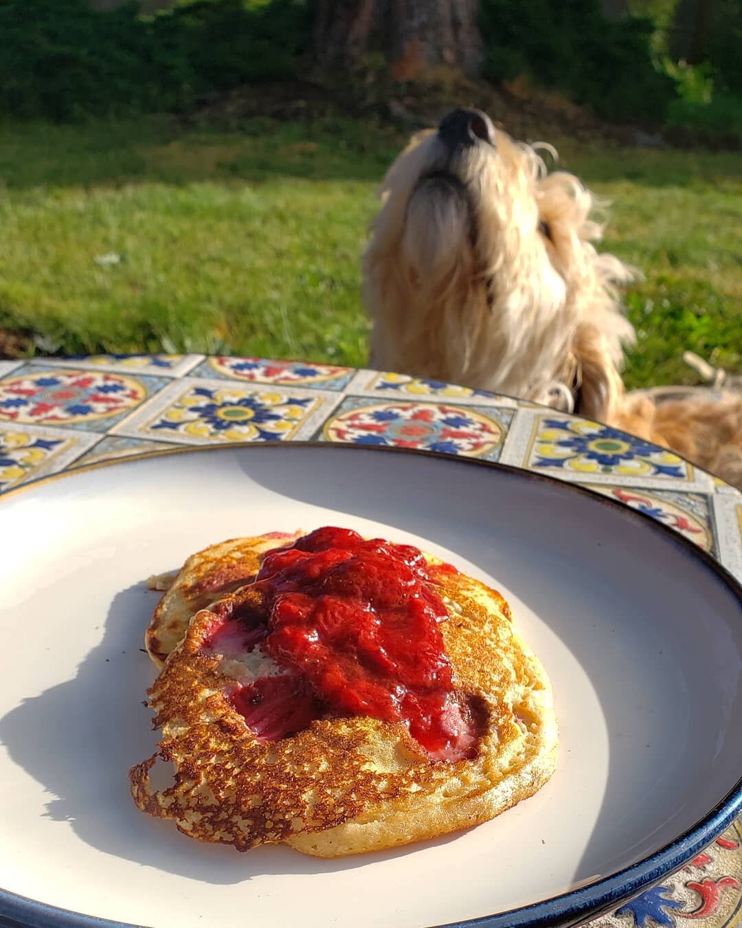 Savoring every single second of Hood Strawberry season. 🍓

Over the weekend our Market Manager made Hood Strawberry Pancakes 🥞 topped with Hood Stawberry compote (you can never have too many Hoods).

What delicious homemade meals did you make with 